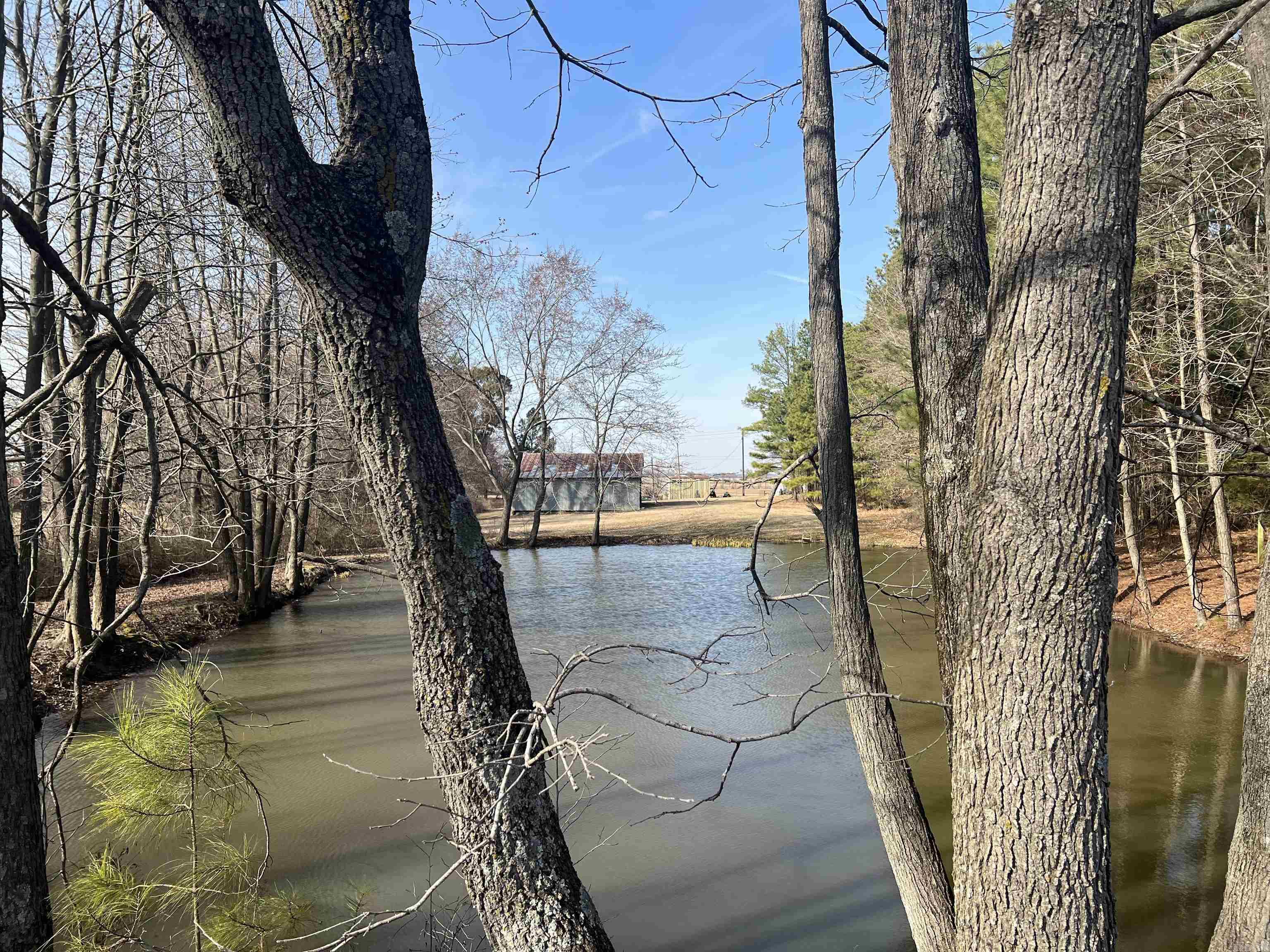 6308  Highway 62  Pollard, AR