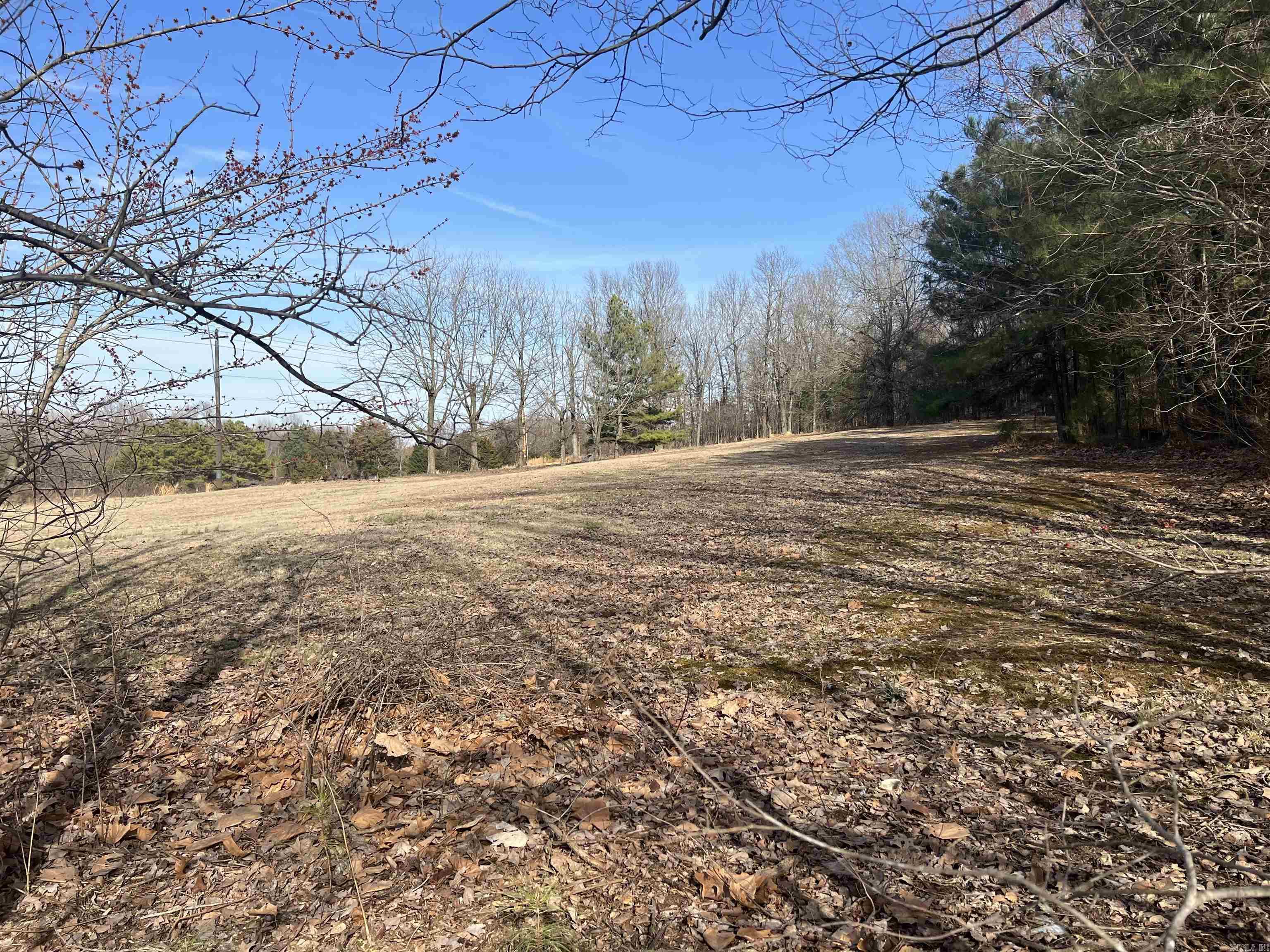 6308  Highway 62  Pollard, AR