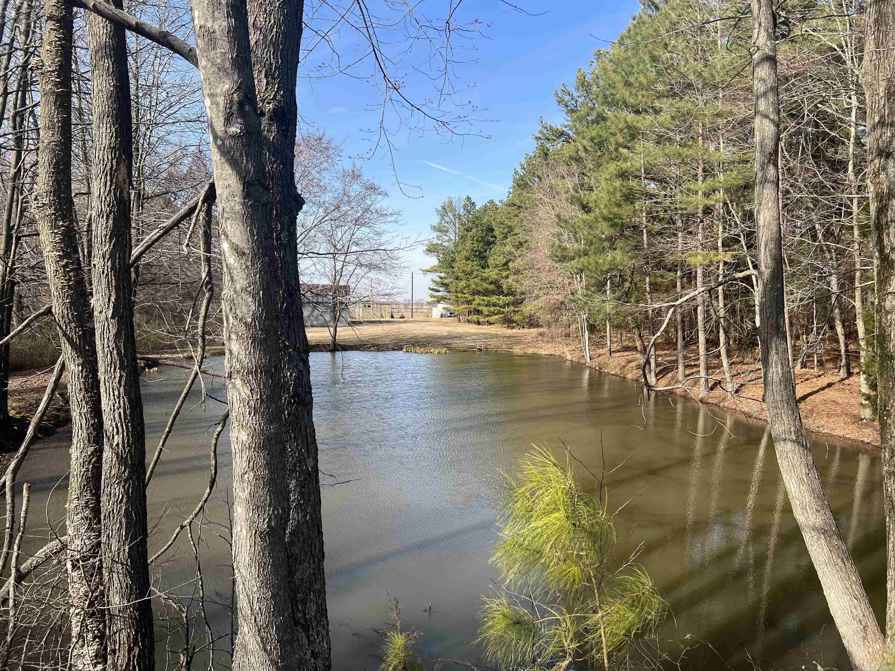 6308  Highway 62  Pollard, AR