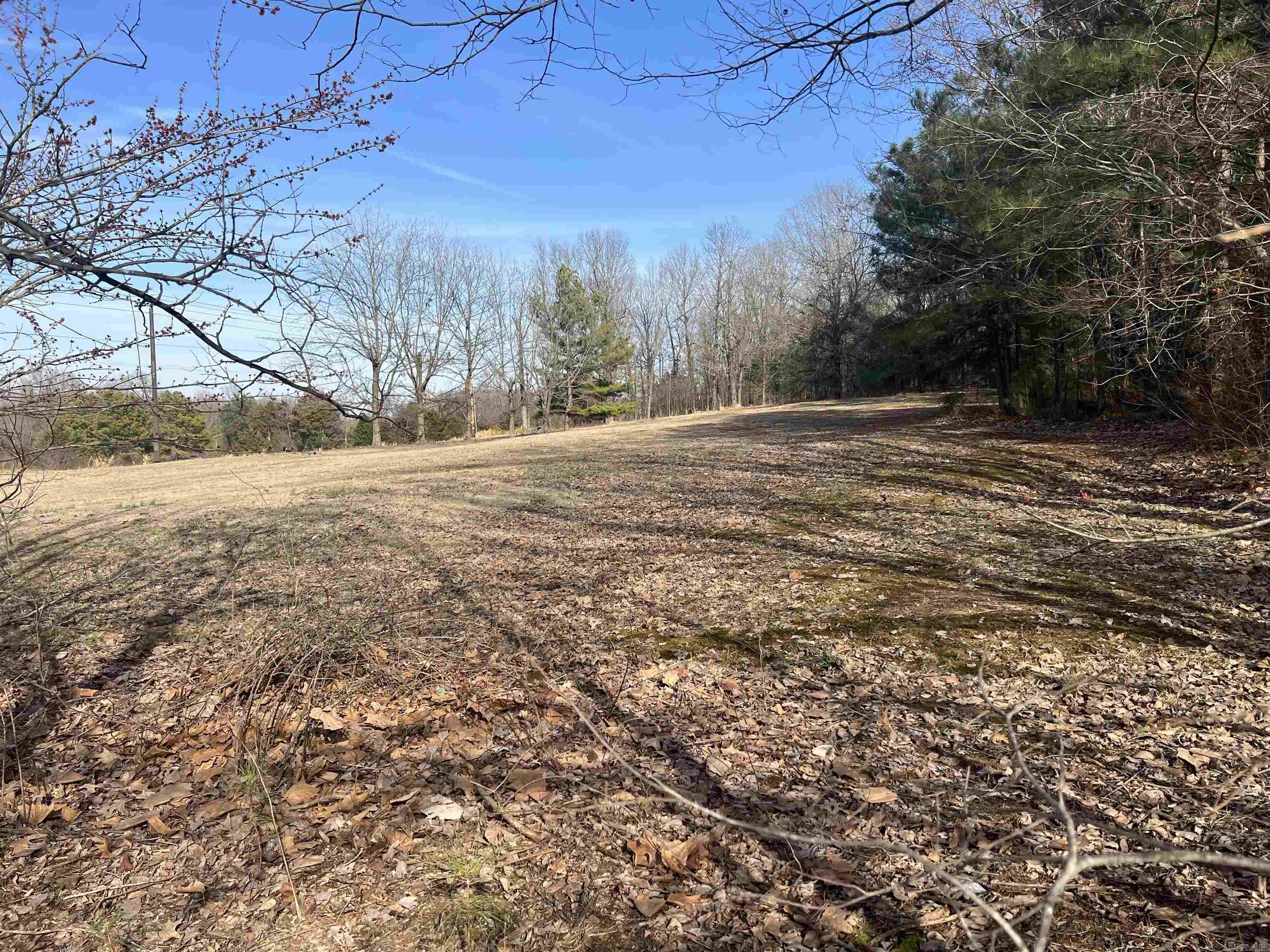 6308  Highway 62  Pollard, AR