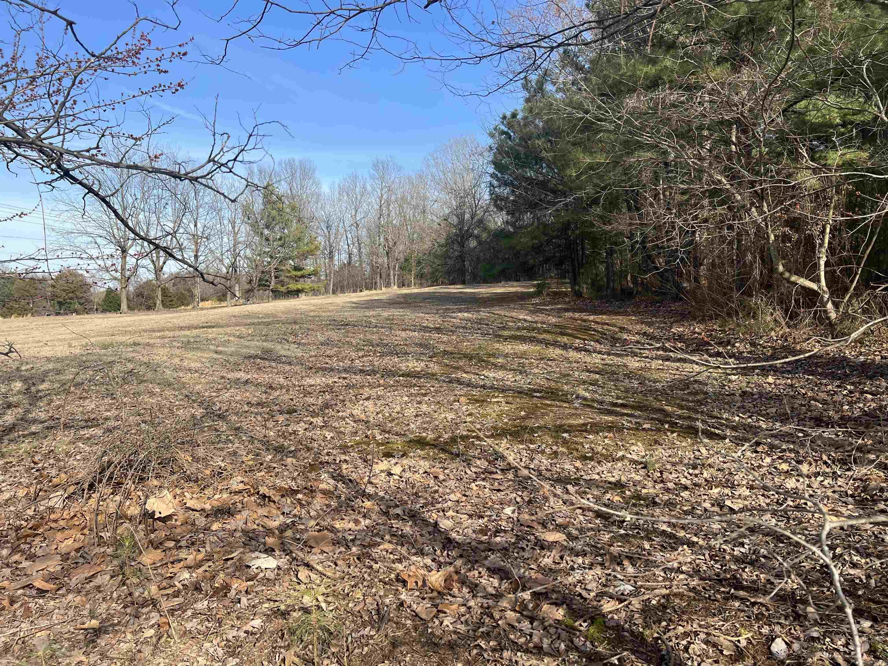 6308  Highway 62  Pollard, AR