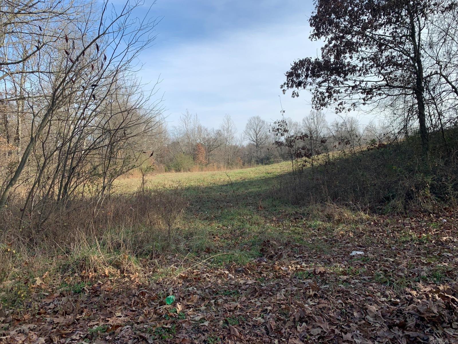 347  CR  Piggott, AR