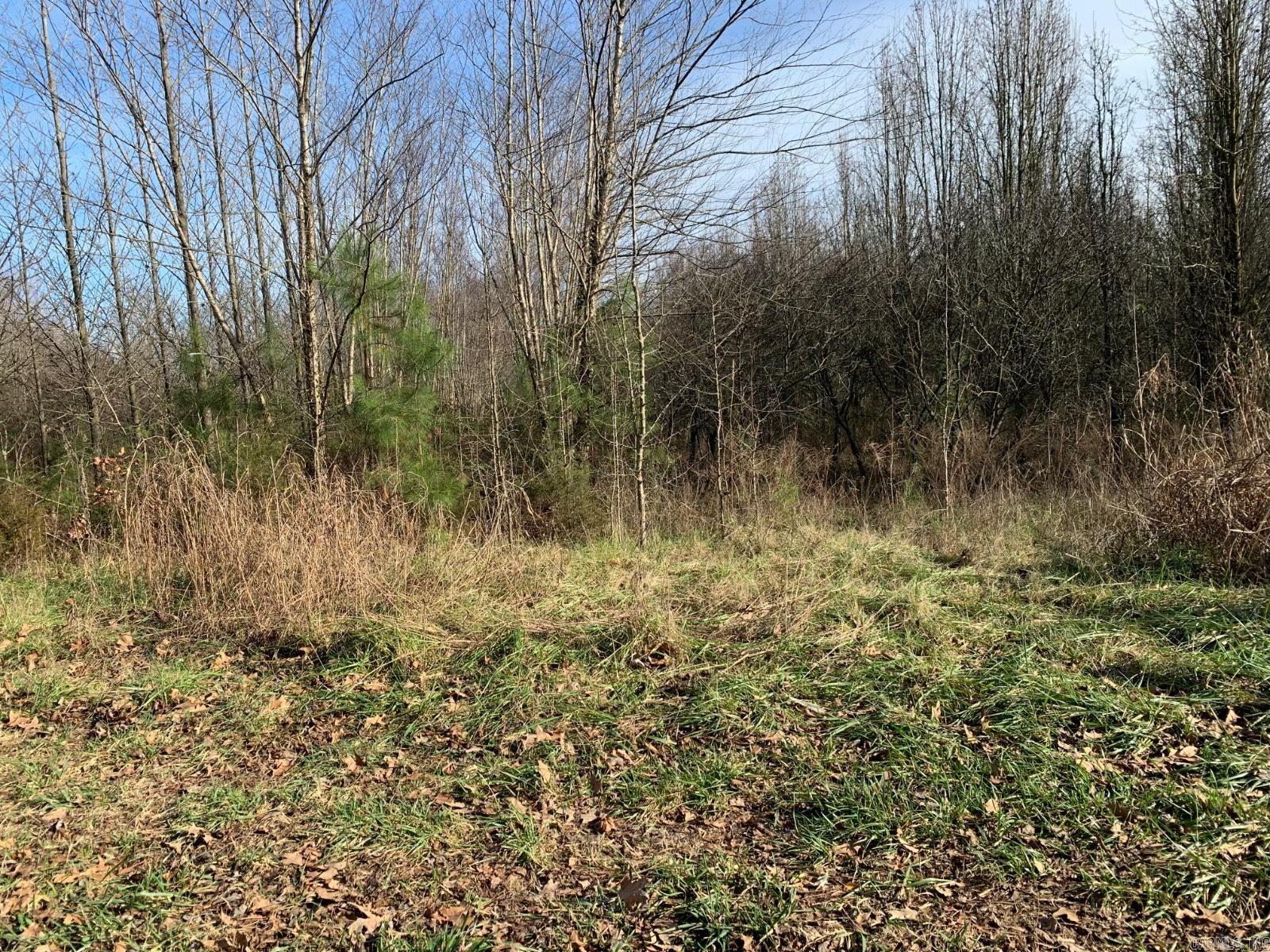 347  CR  Piggott, AR