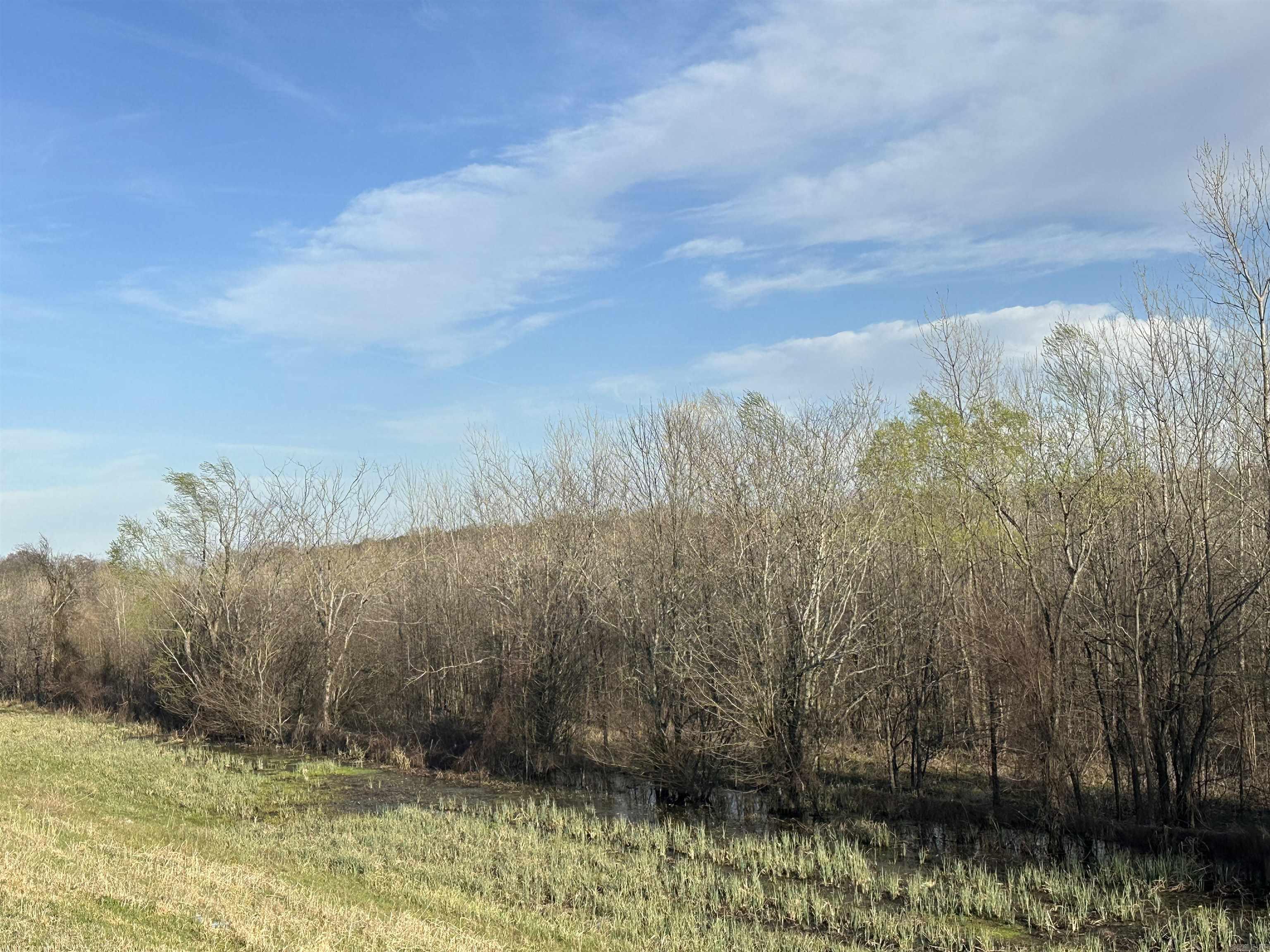 00  Hwy 67  Possum Grape, AR