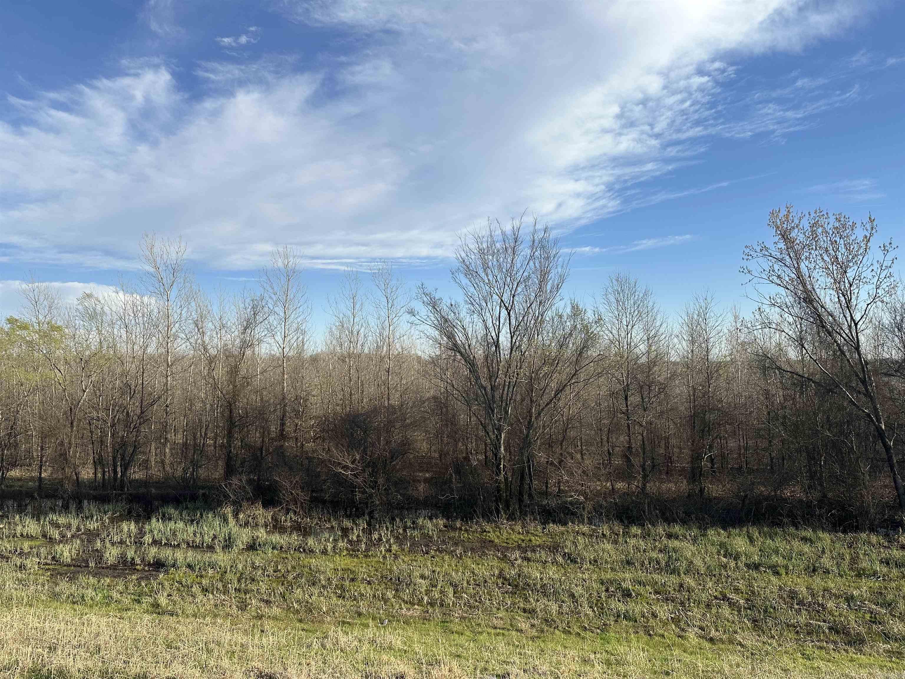 00  Hwy 67  Possum Grape, AR