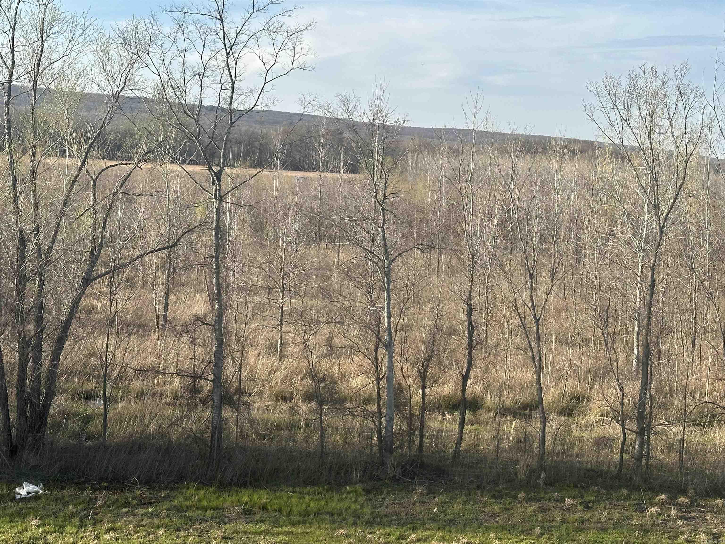 00  Hwy 67  Possum Grape, AR