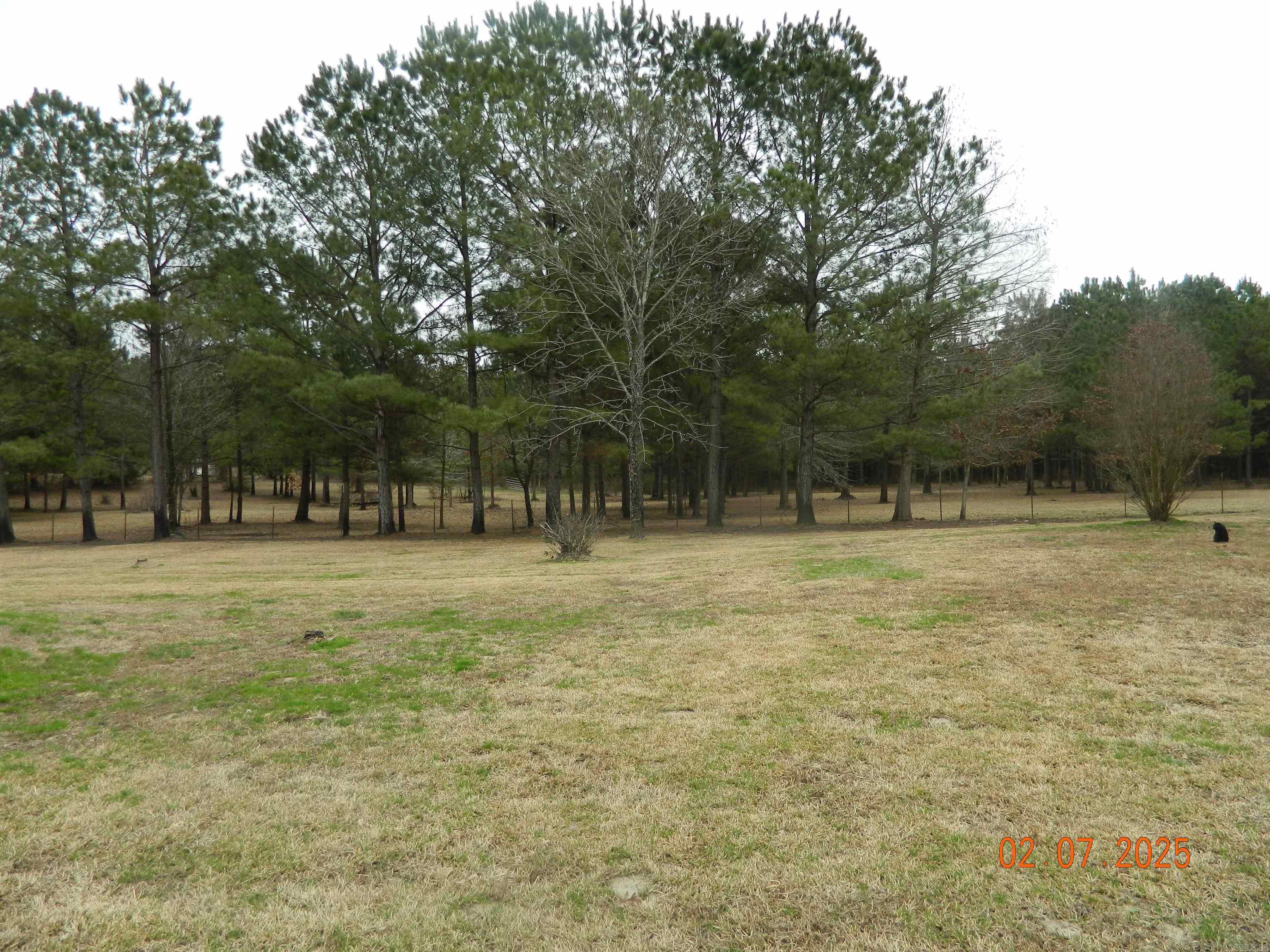 90 Marion Riley Road Delight, AR 71940-9999