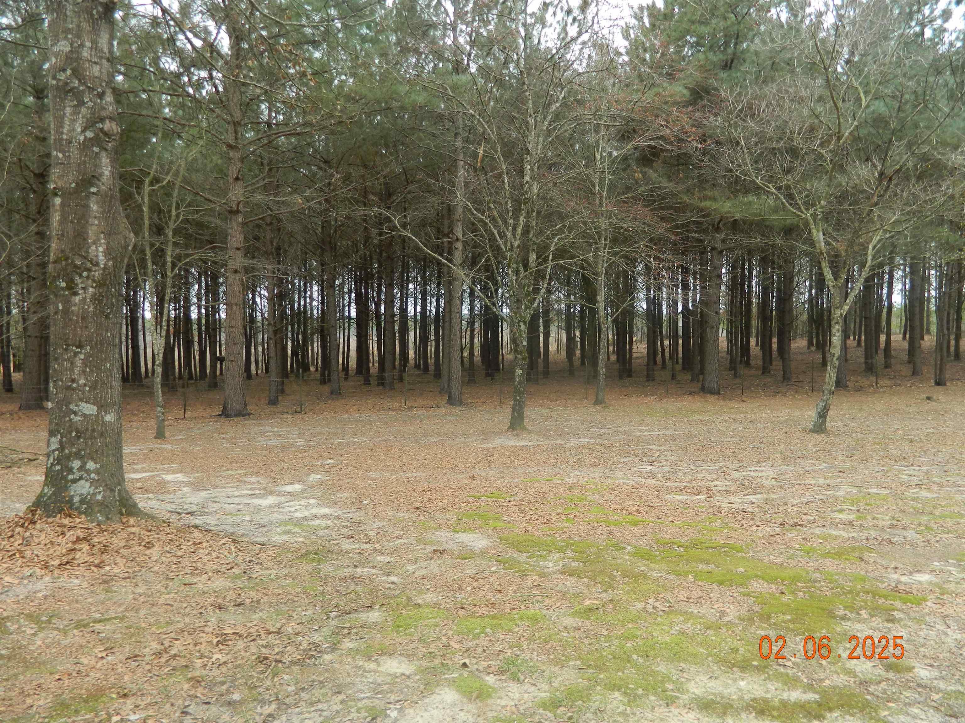 90 Marion Riley Road Delight, AR 71940-9999