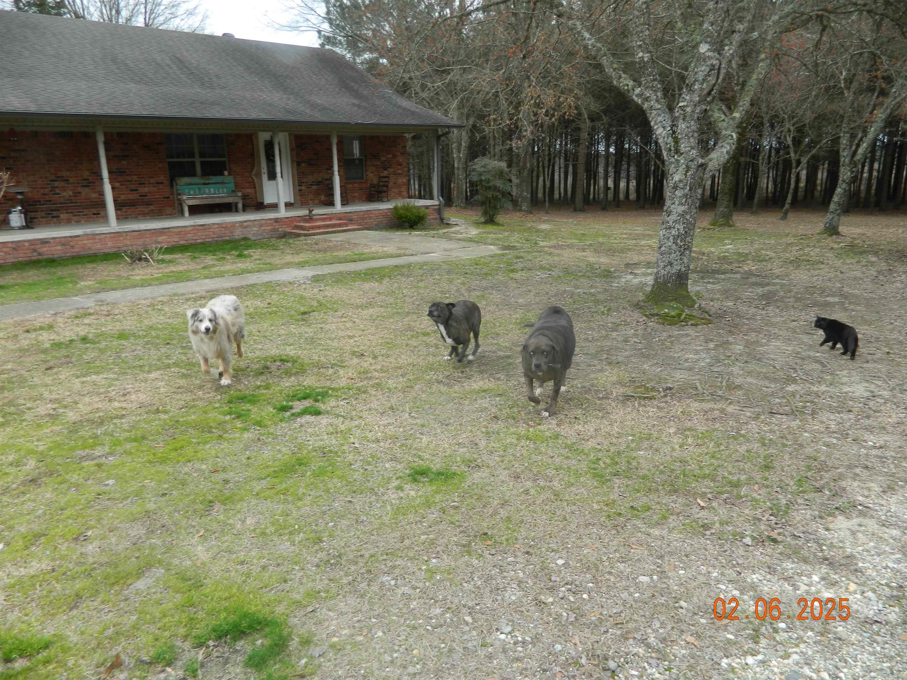 90 Marion Riley Road Delight, AR 71940-9999