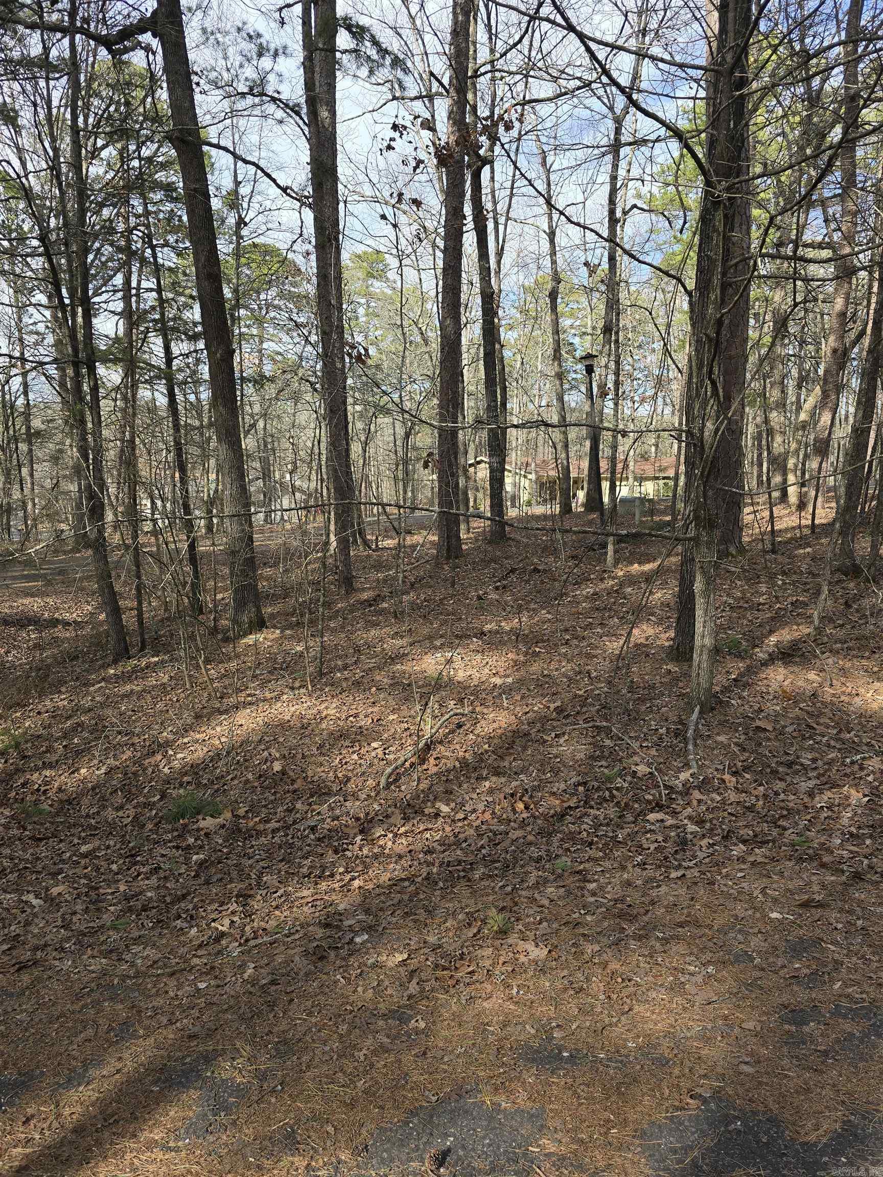 Lot 010  palencia  Hot Springs Village, AR