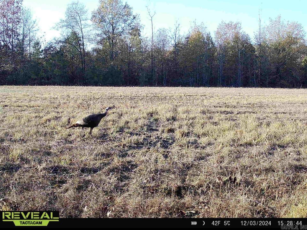 000  Hwy. 13  McRae, AR