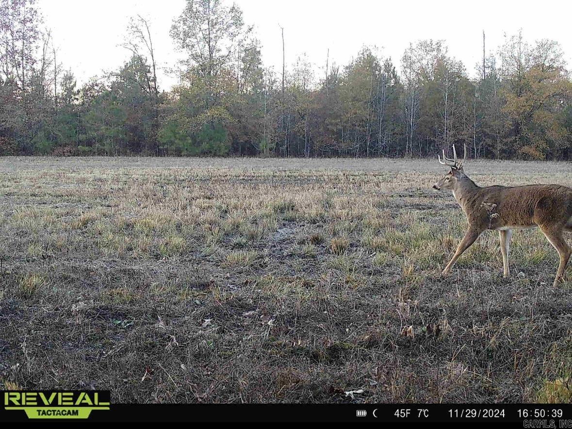 000  Hwy. 13  McRae, AR