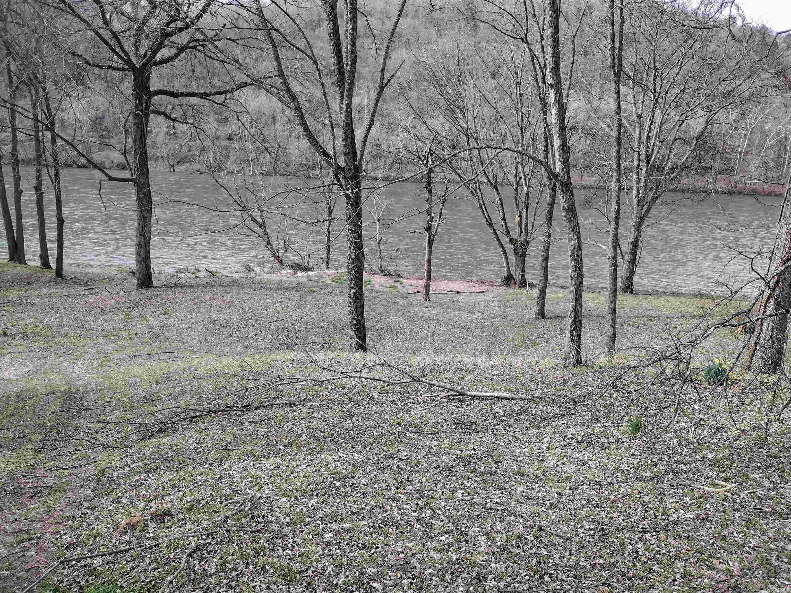 0  South RiverView  Sylamore, AR