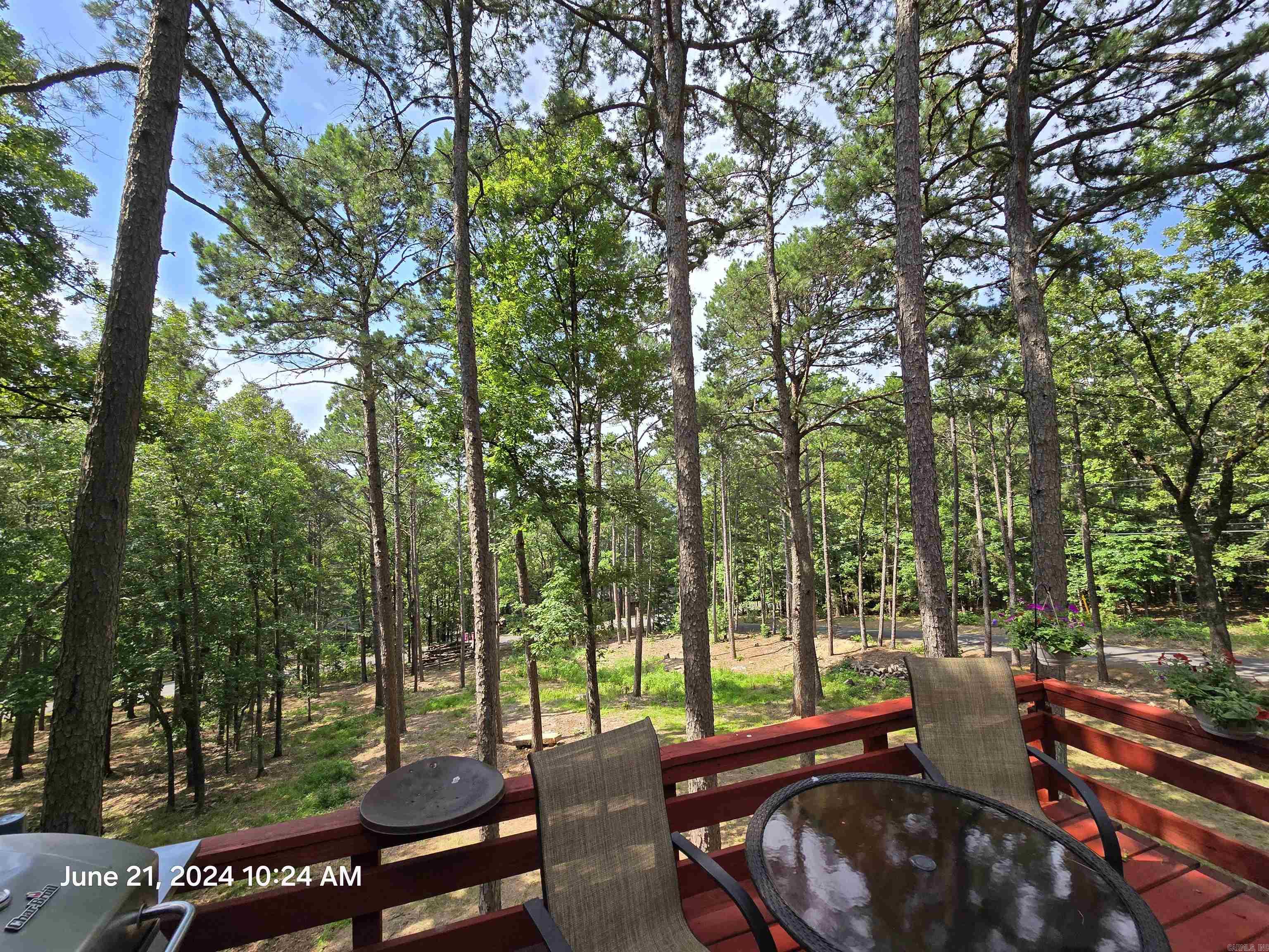 118 Cedar Valley Rd Fairfield Bay, AR 72088
