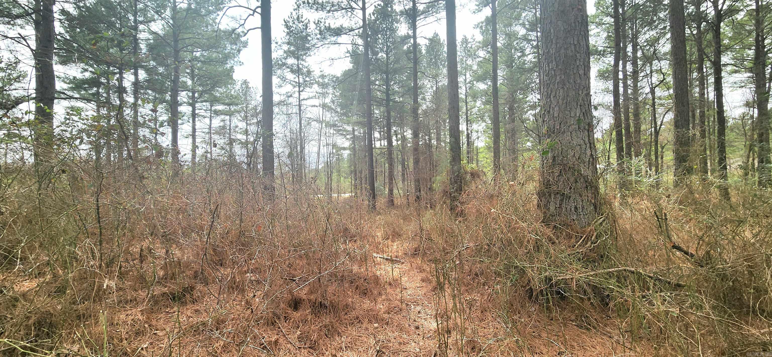 220 W Colonel Glenn  Little Rock, AR