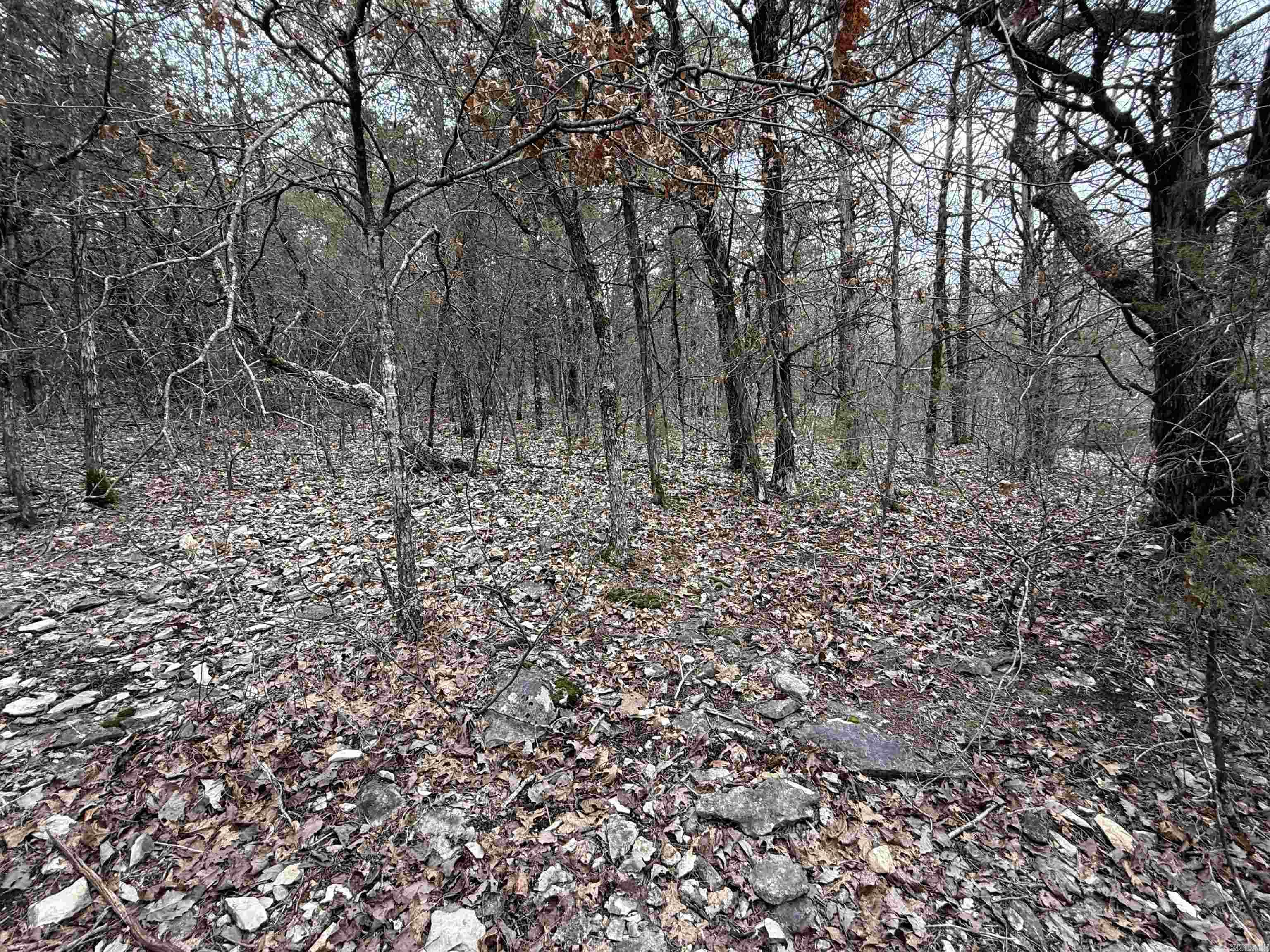 36  Highway 354  Ash Flat, AR