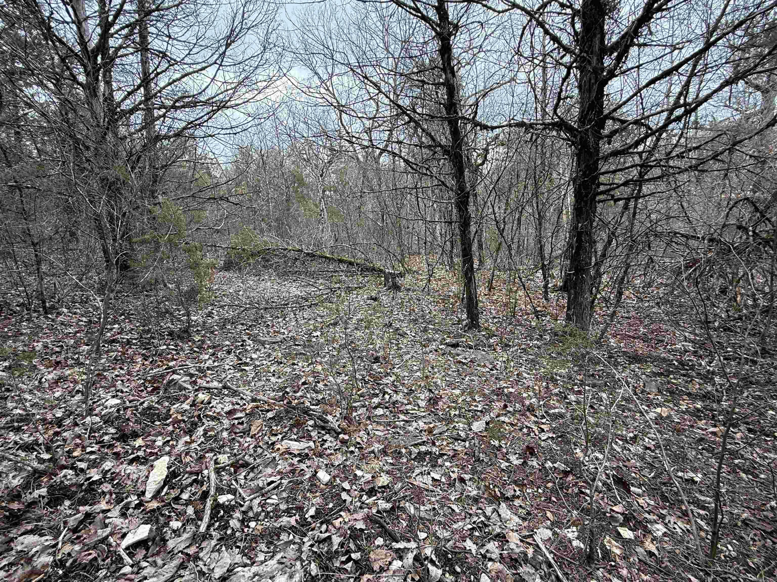 36  Highway 354  Ash Flat, AR