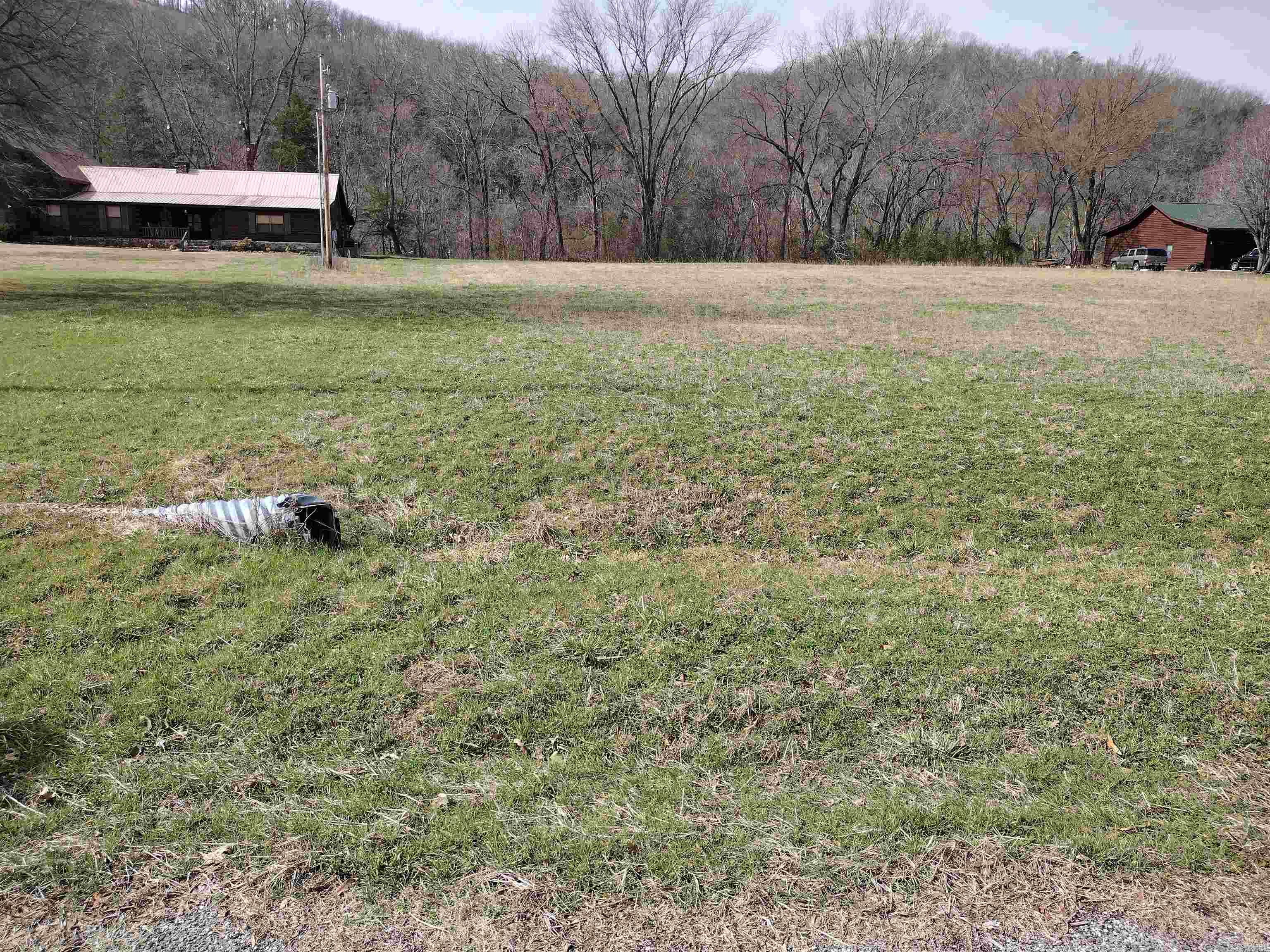 000  South RiverView  Sylamore, AR
