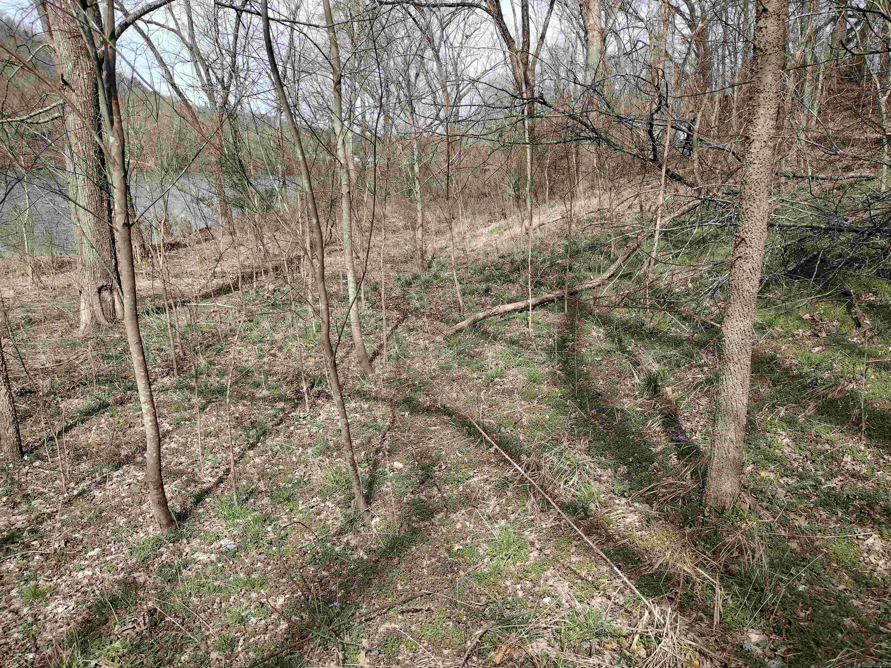 000  South RiverView  Sylamore, AR