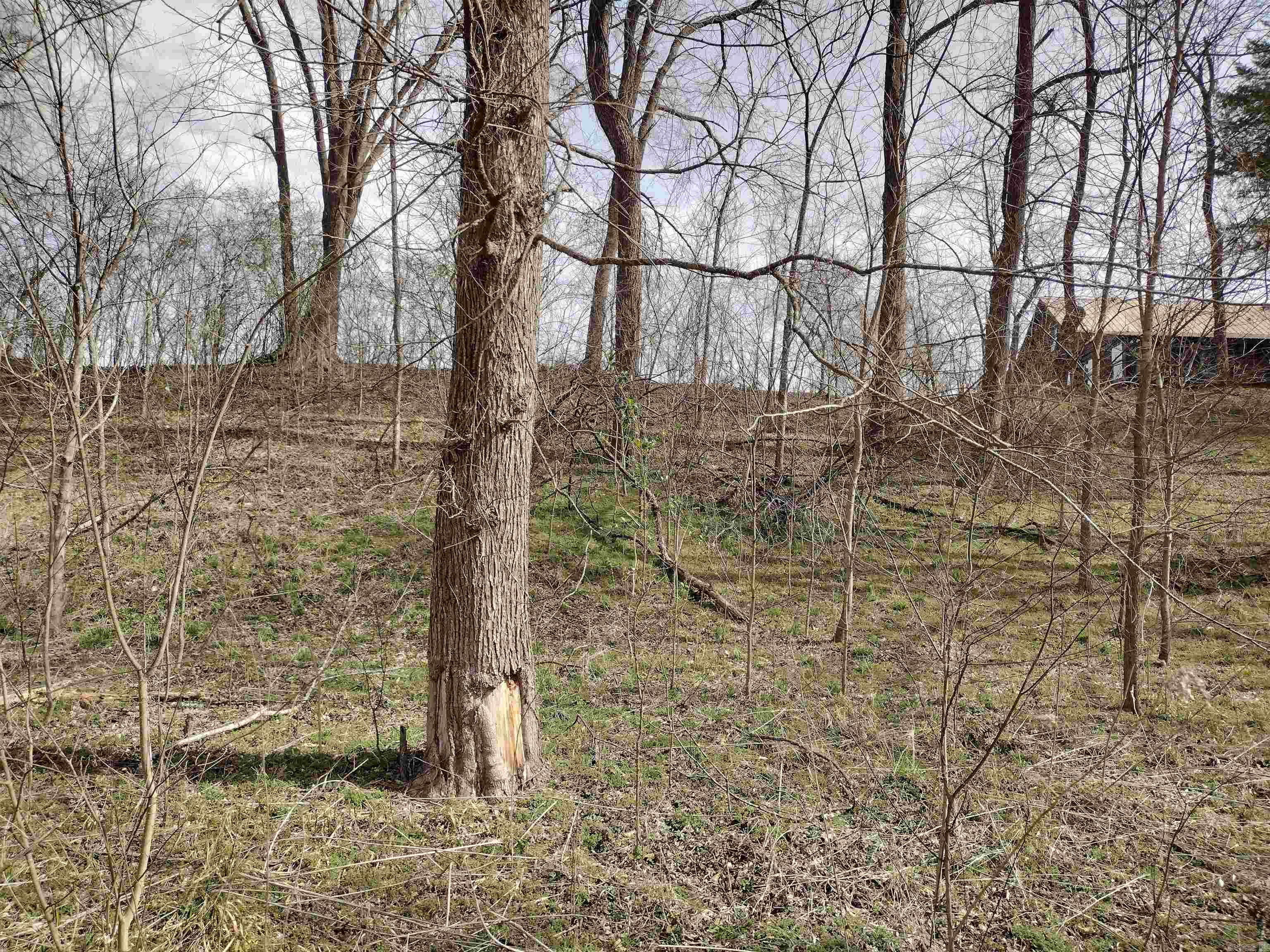 000  South RiverView  Sylamore, AR