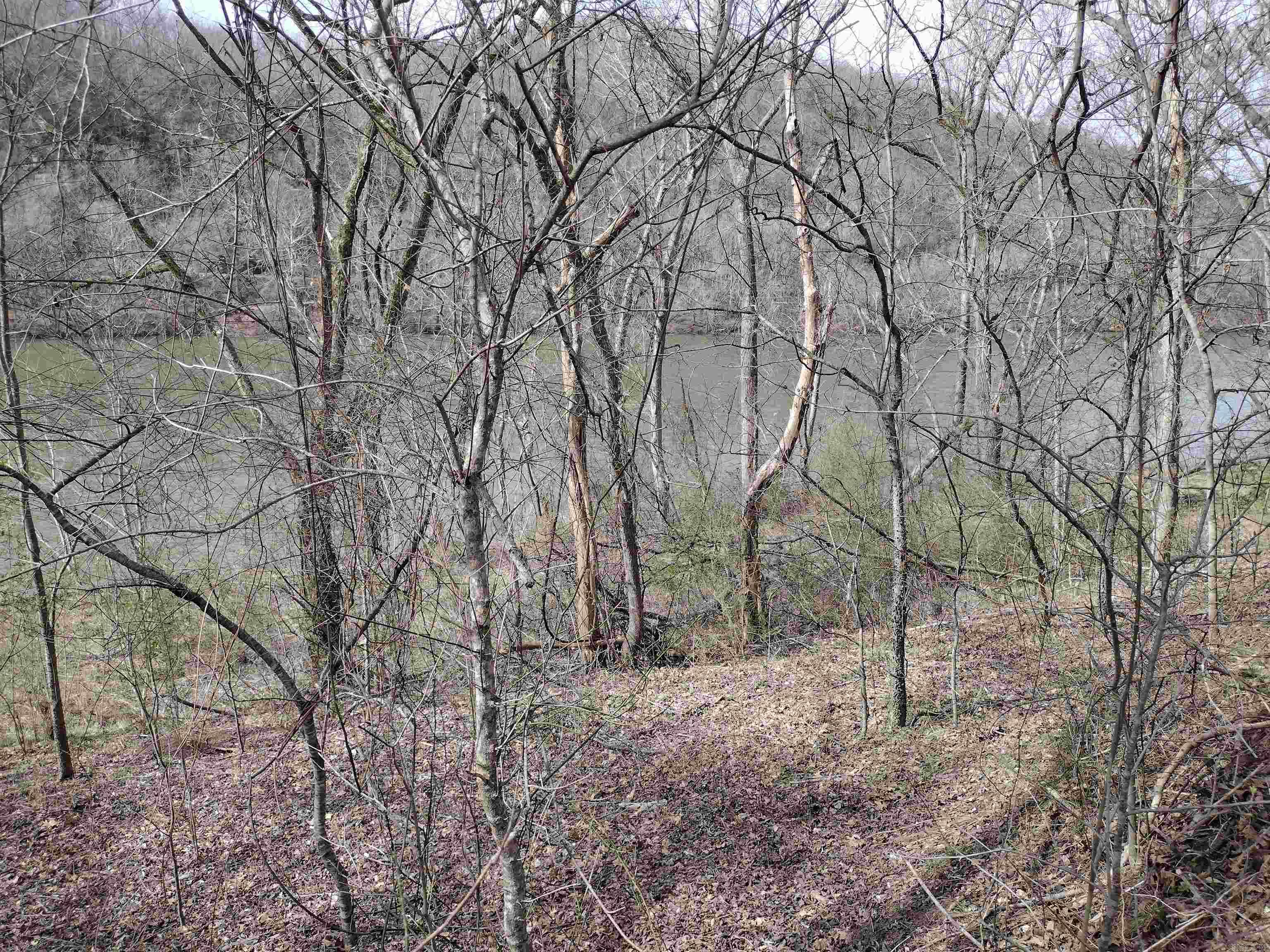 000  South RiverView  Sylamore, AR