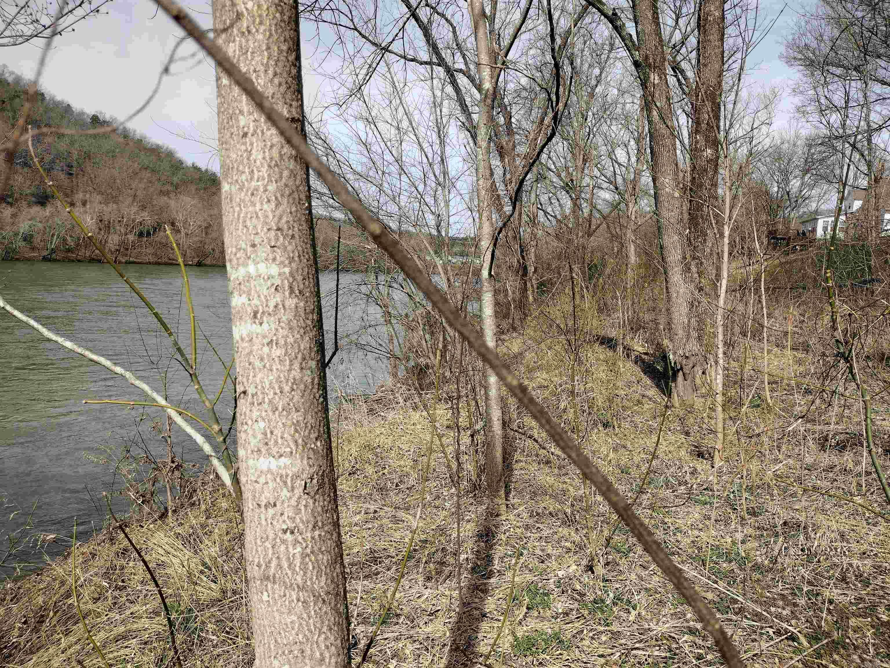 000  South RiverView  Sylamore, AR