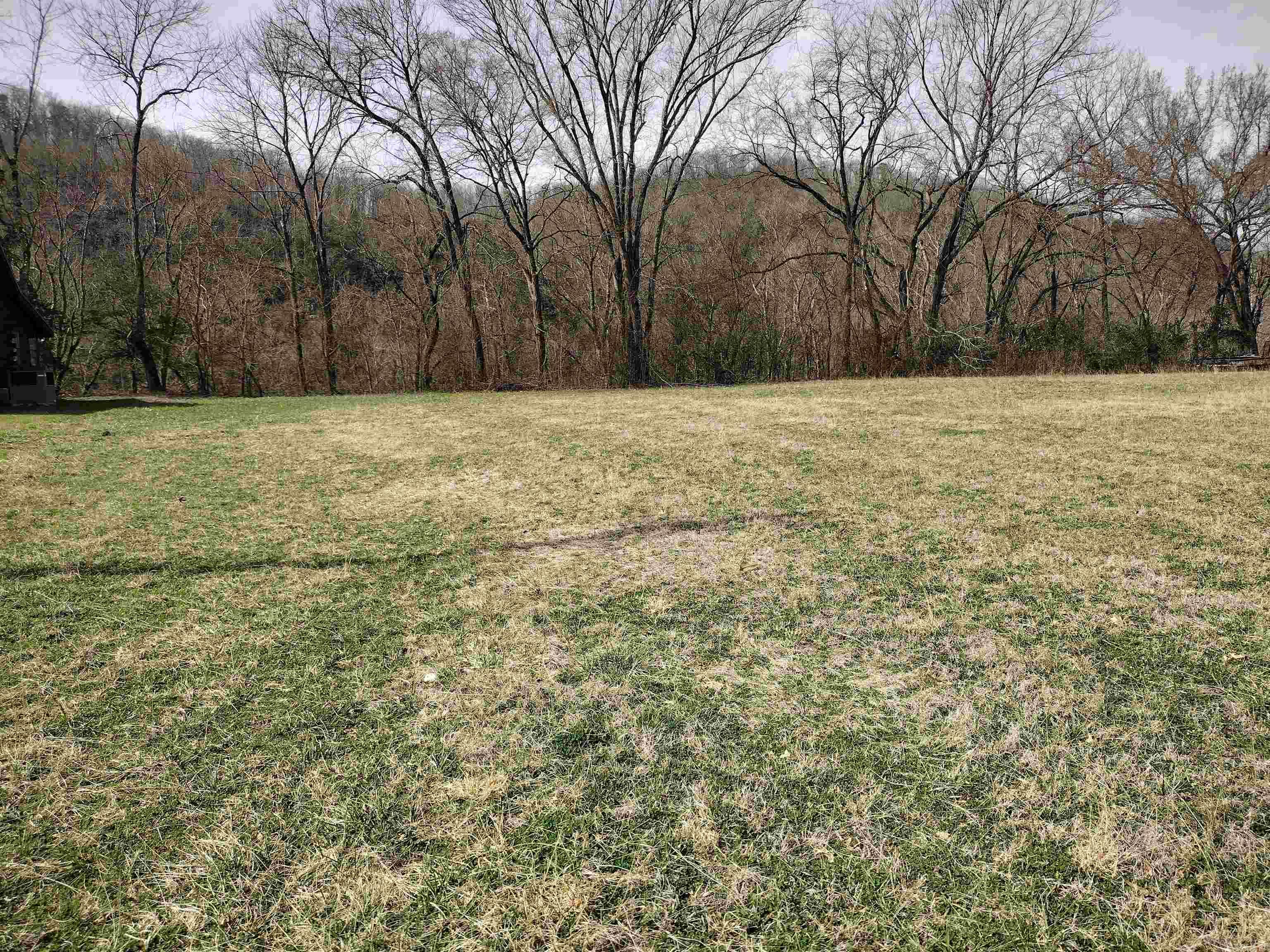 000  South RiverView  Sylamore, AR
