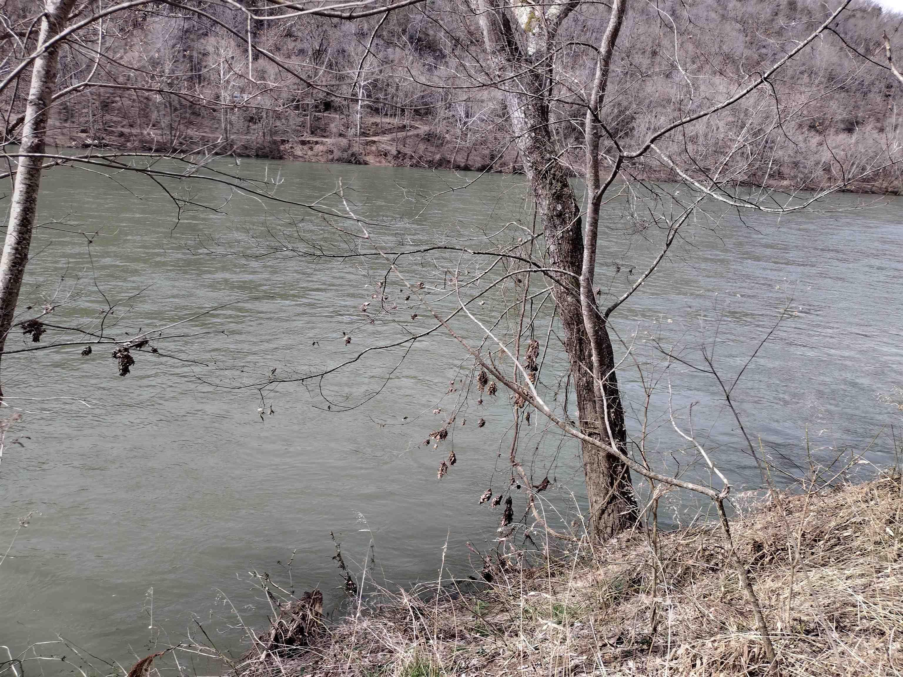 000  South RiverView  Sylamore, AR