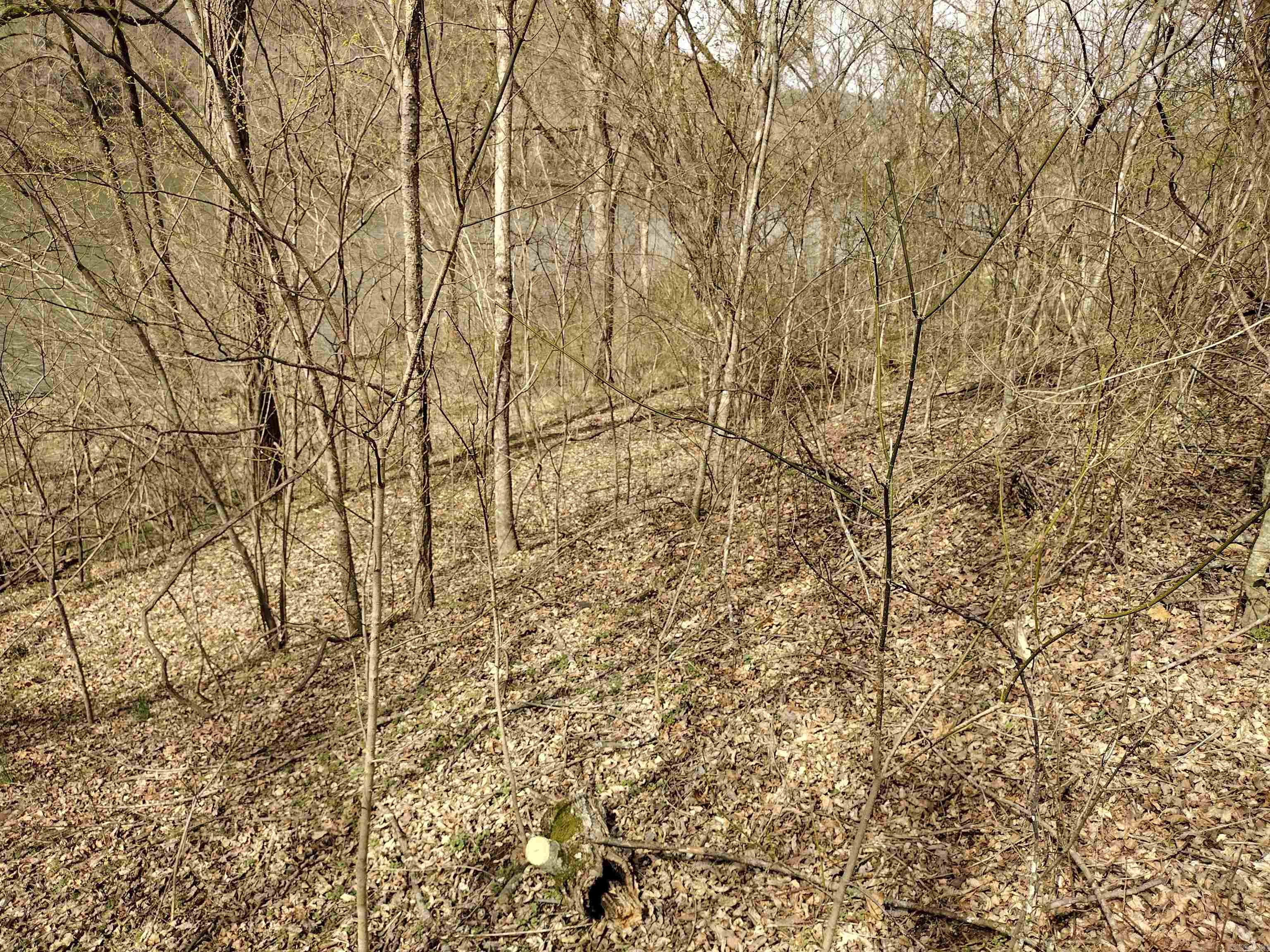 000  South RiverView  Sylamore, AR