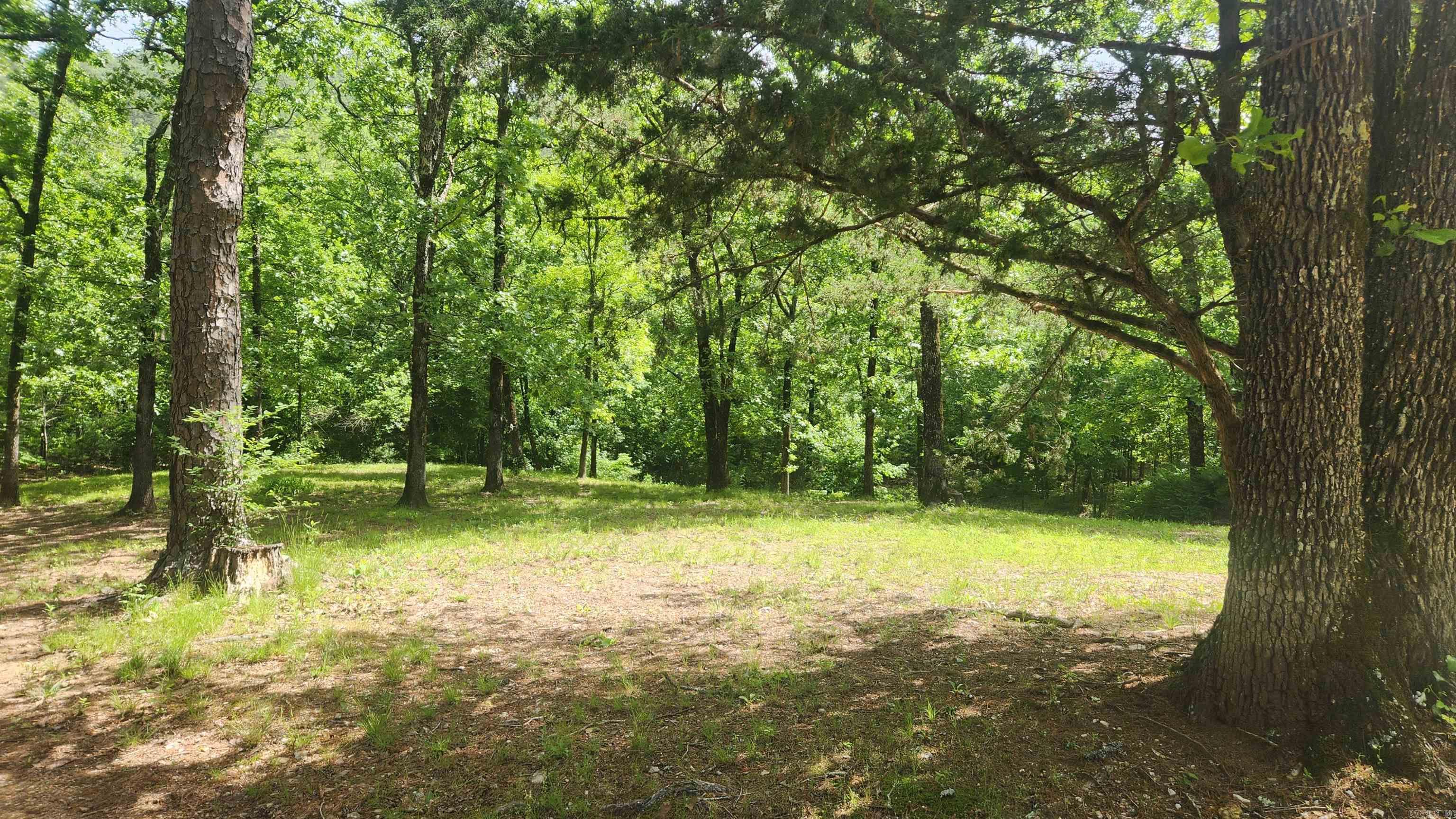 1775  Polk Rd 61  Mena, AR