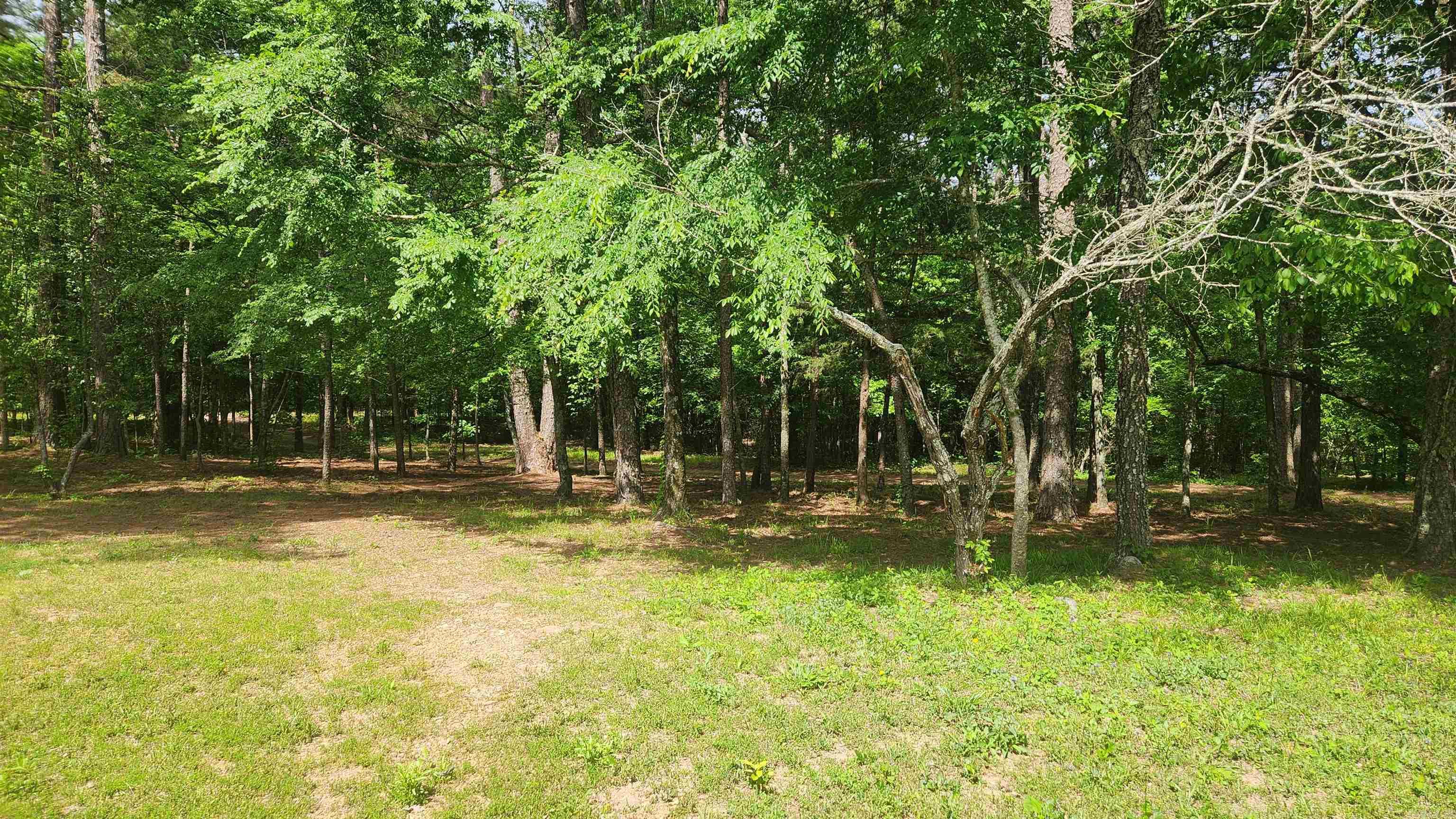 1775  Polk Rd 61  Mena, AR