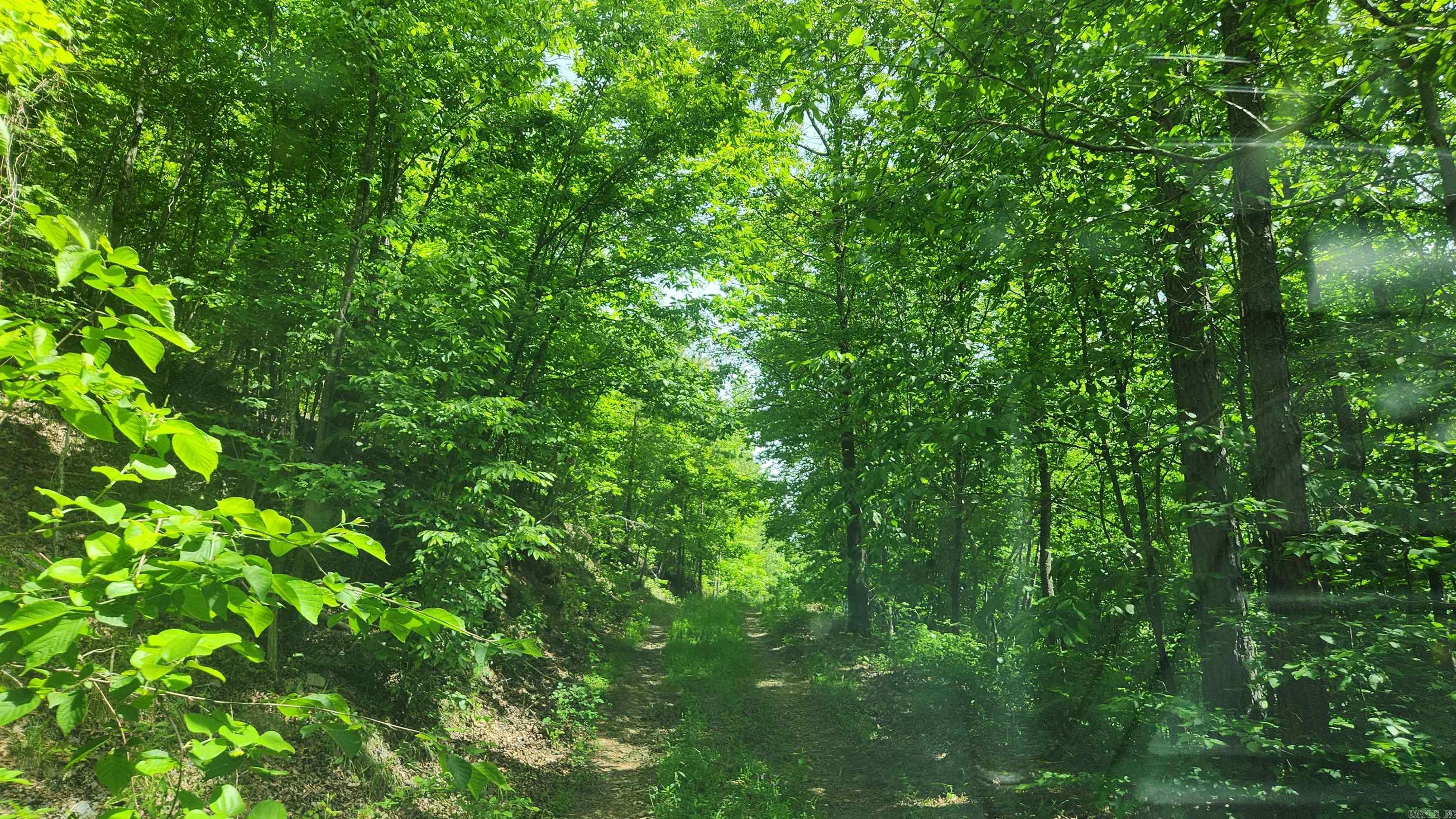 1775  Polk Rd 61  Mena, AR