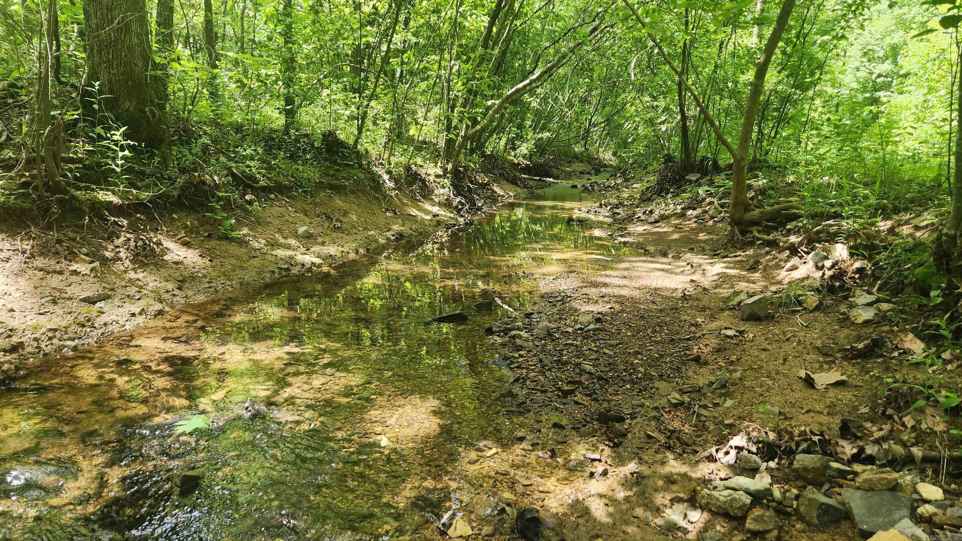 1775  Polk Rd 61  Mena, AR