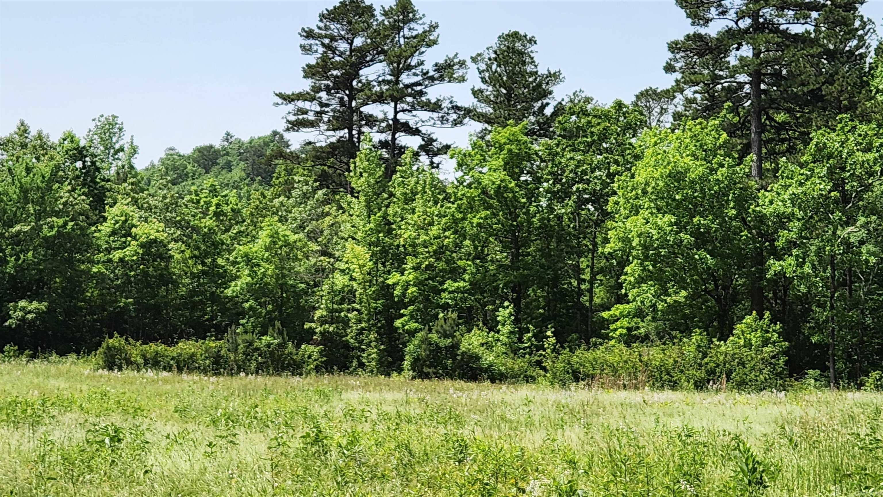 1775  Polk Rd 61  Mena, AR