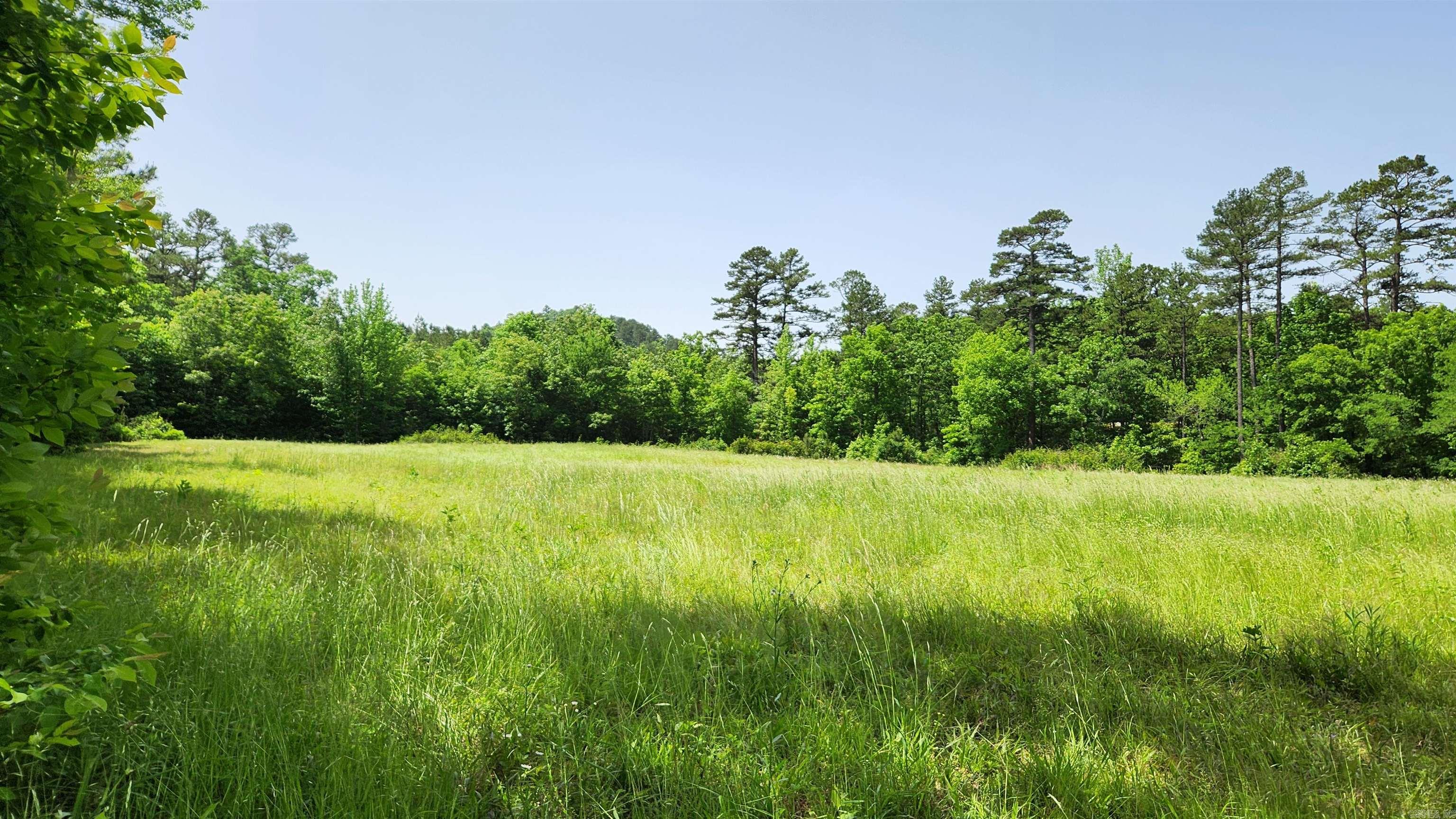 1775  Polk Rd 61  Mena, AR