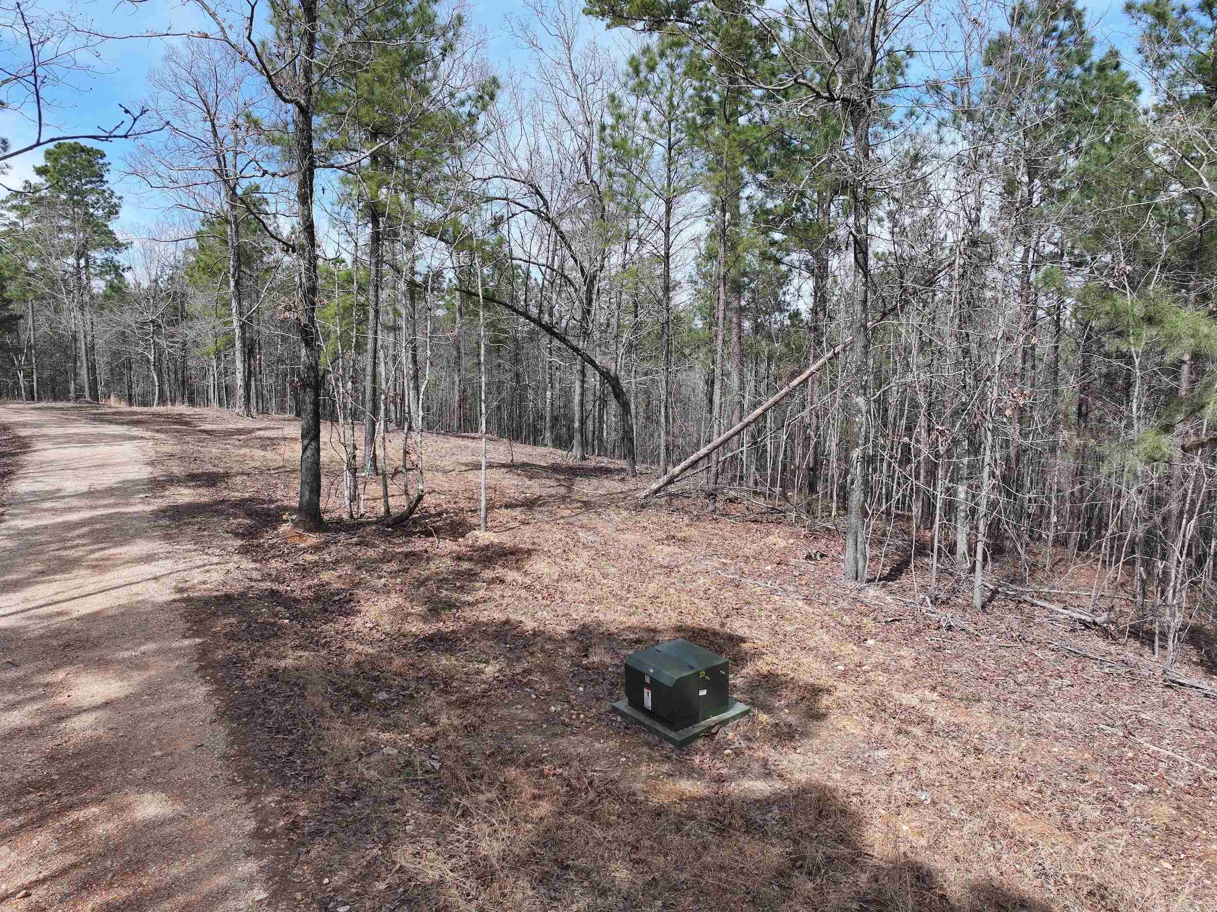 Lot 2  Hogue Rd  Murfreesboro, AR