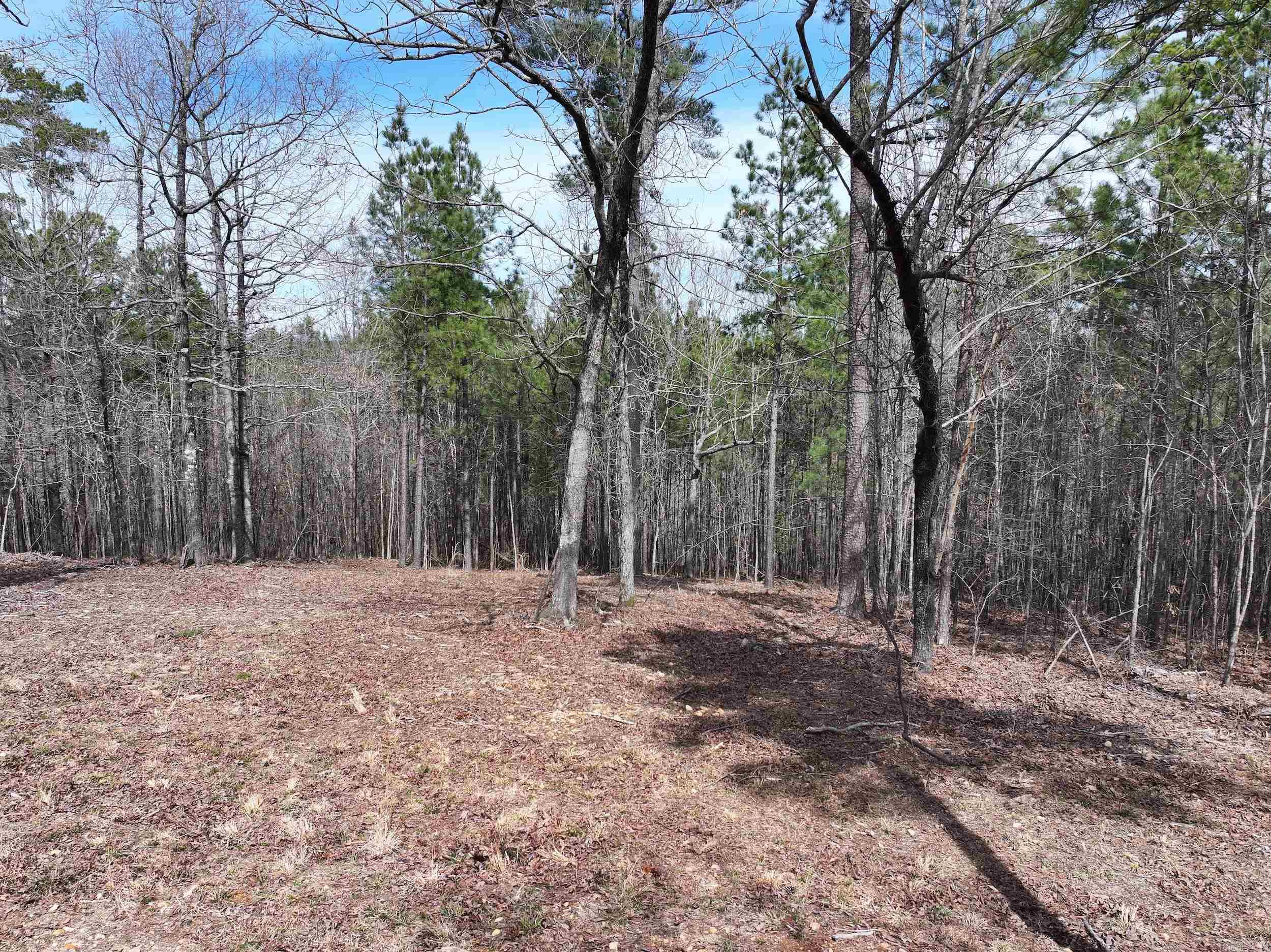 Lot 2  Hogue Rd  Murfreesboro, AR