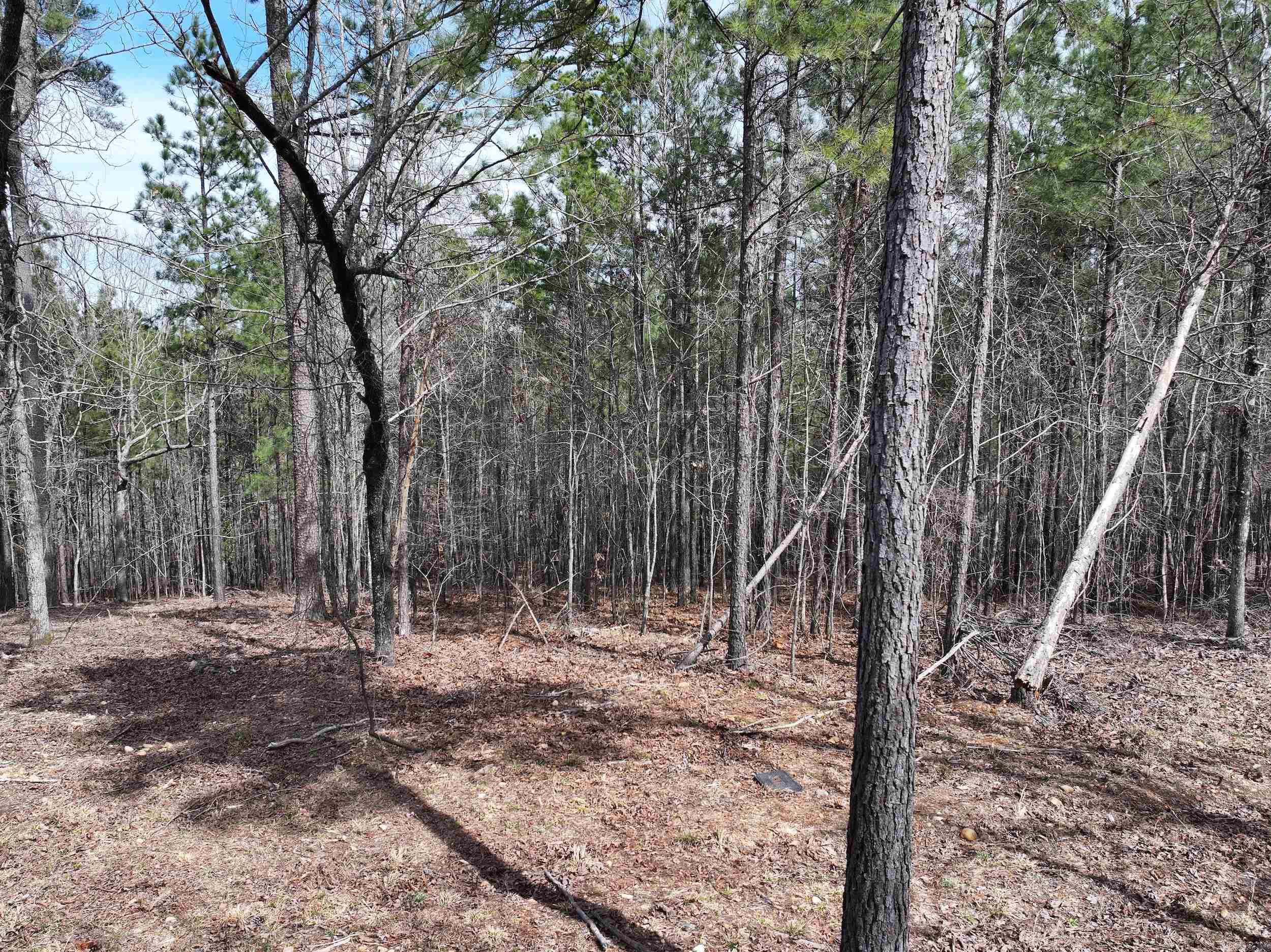 Lot 2  Hogue Rd  Murfreesboro, AR