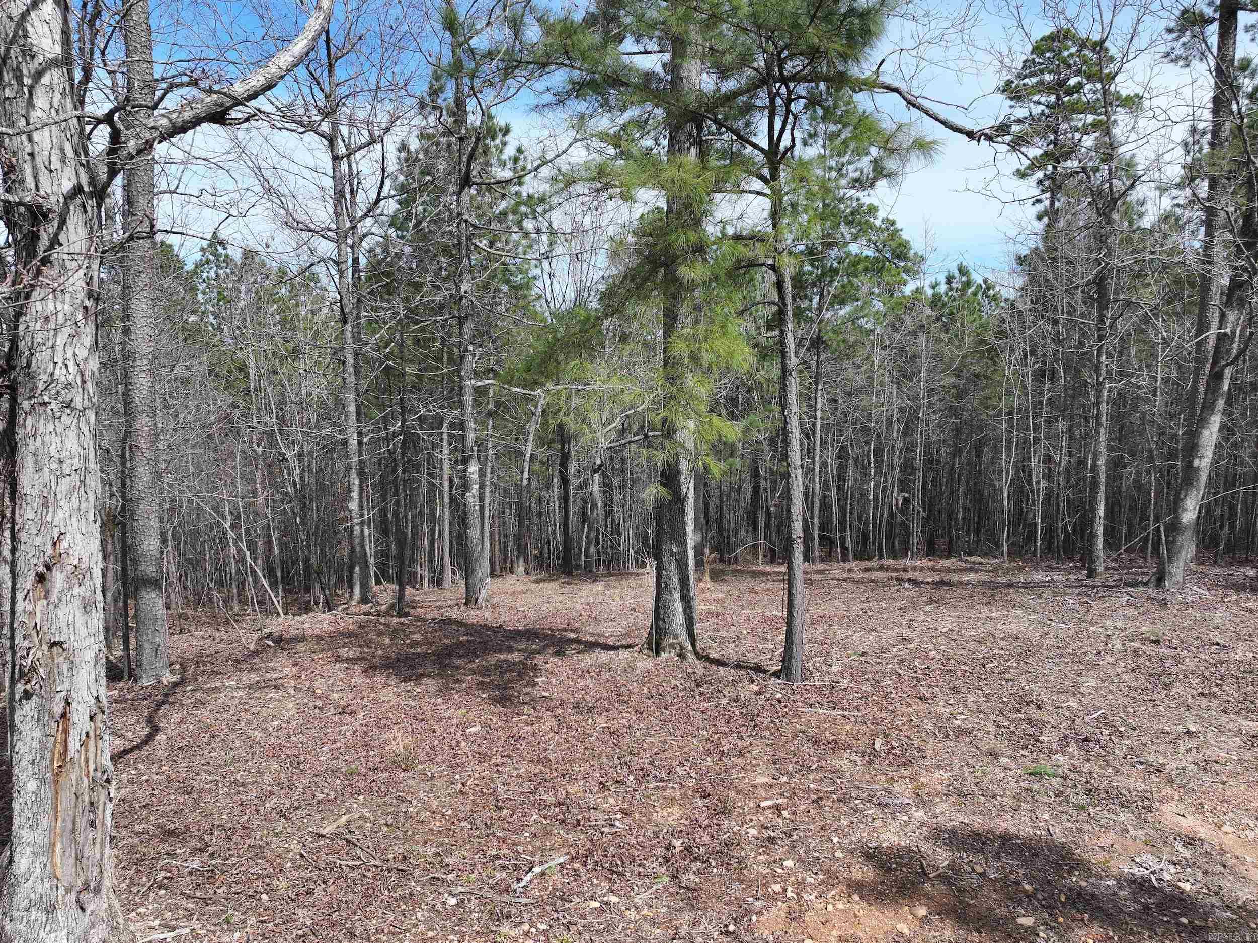 Lot 2  Hogue Rd  Murfreesboro, AR