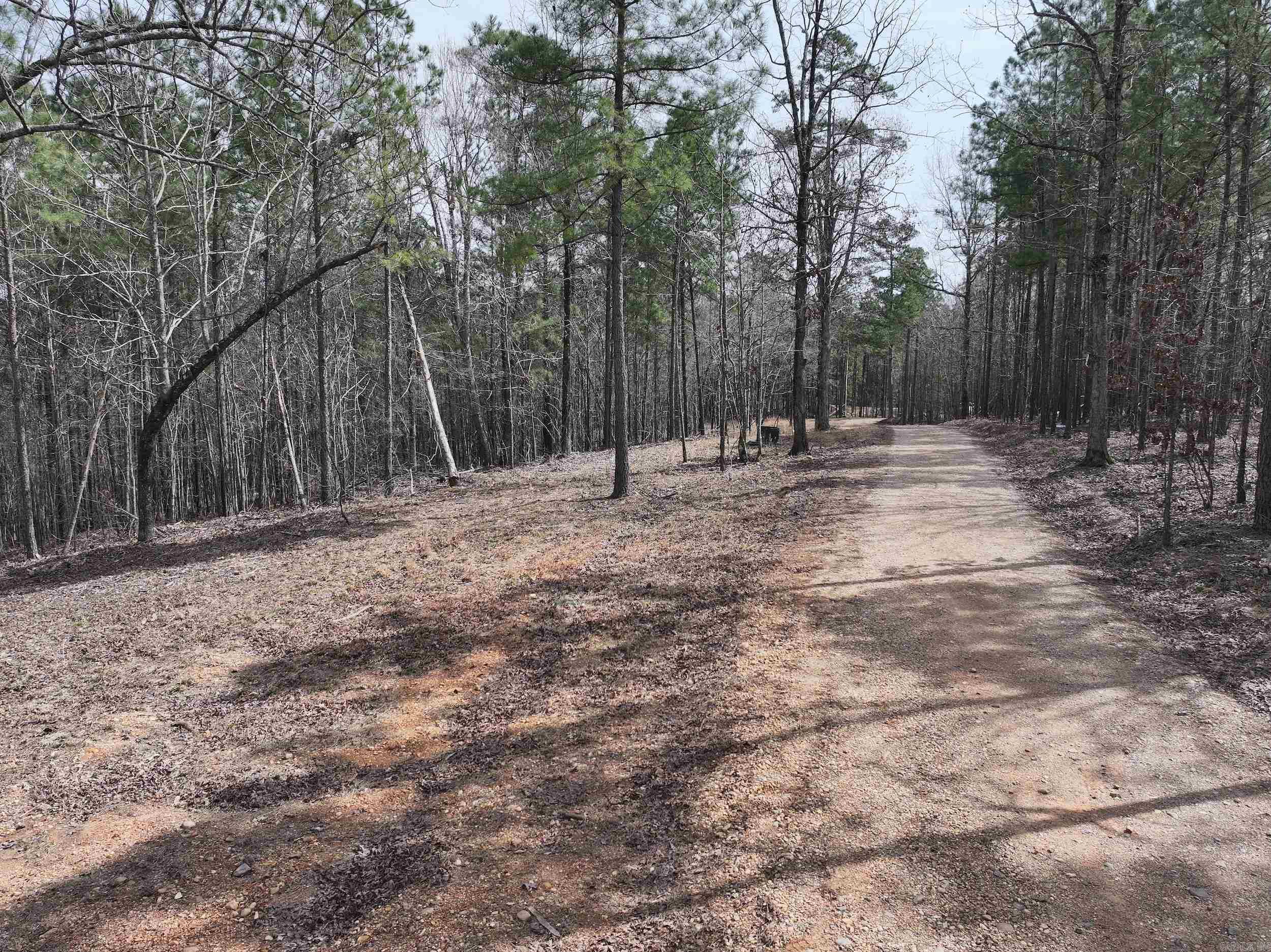 Lot 2  Hogue Rd  Murfreesboro, AR