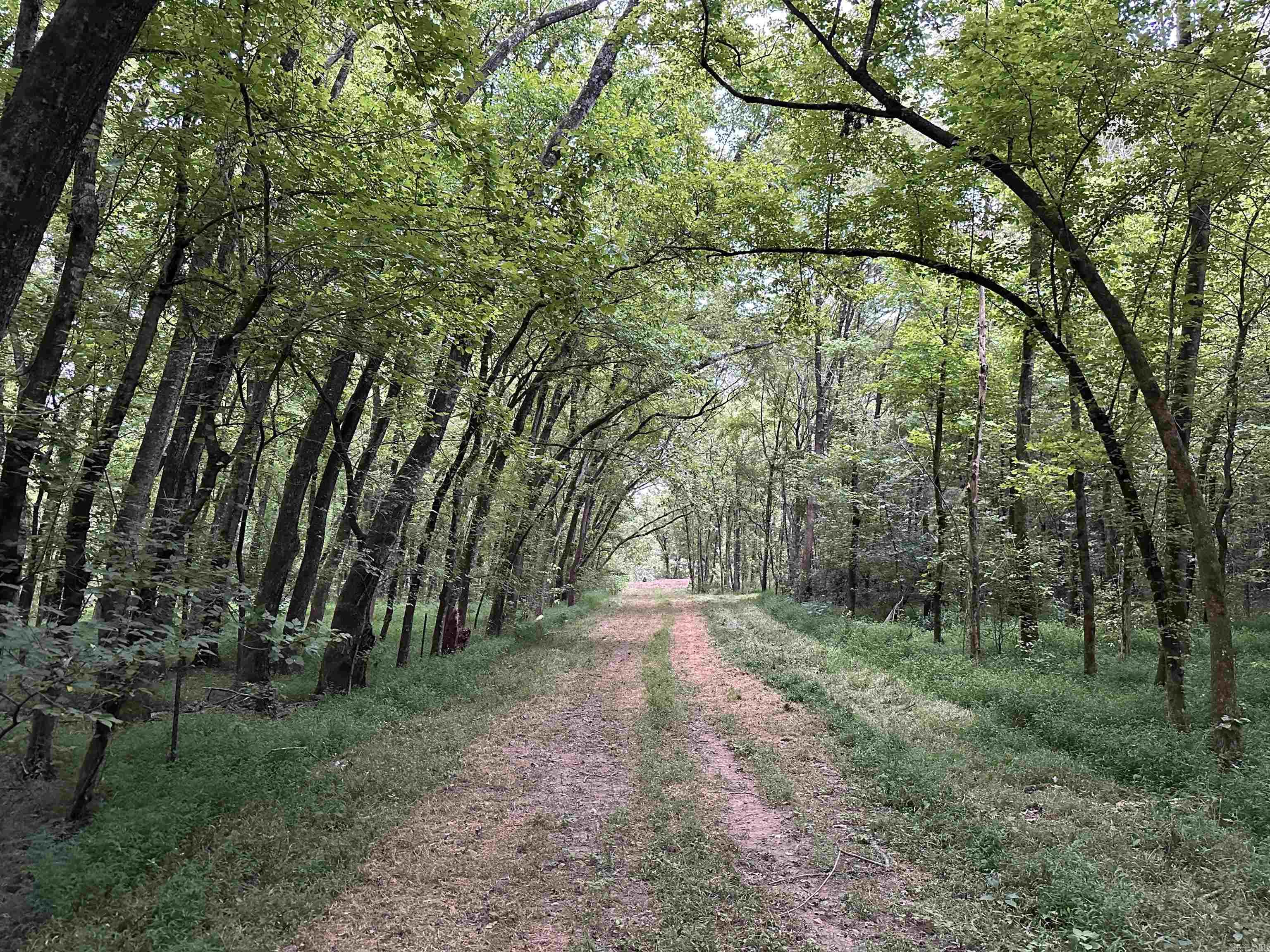 000  Old River Rd.  Pangburn, AR