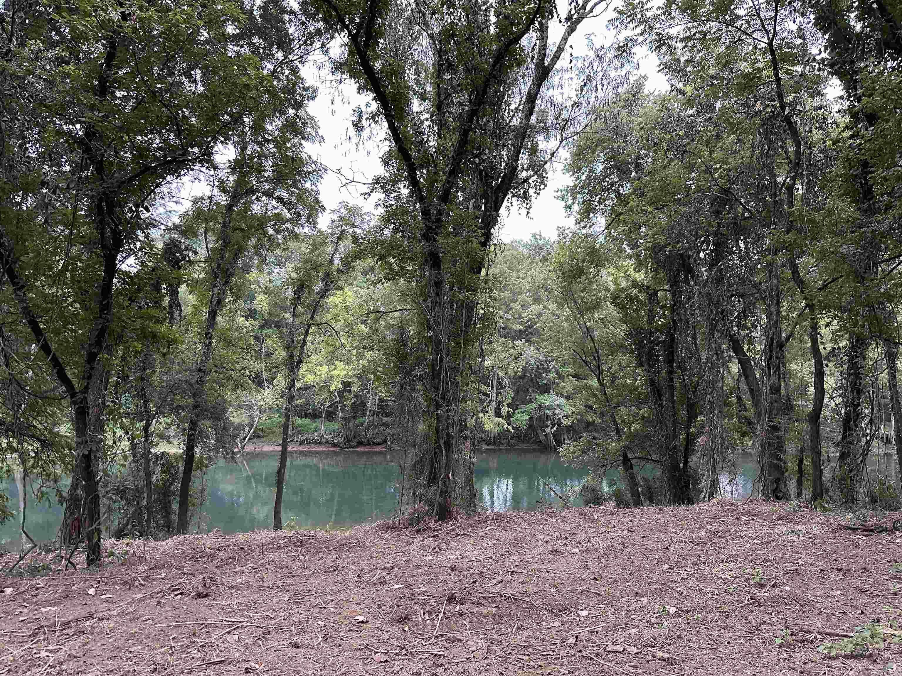 000  Old River Rd.  Pangburn, AR