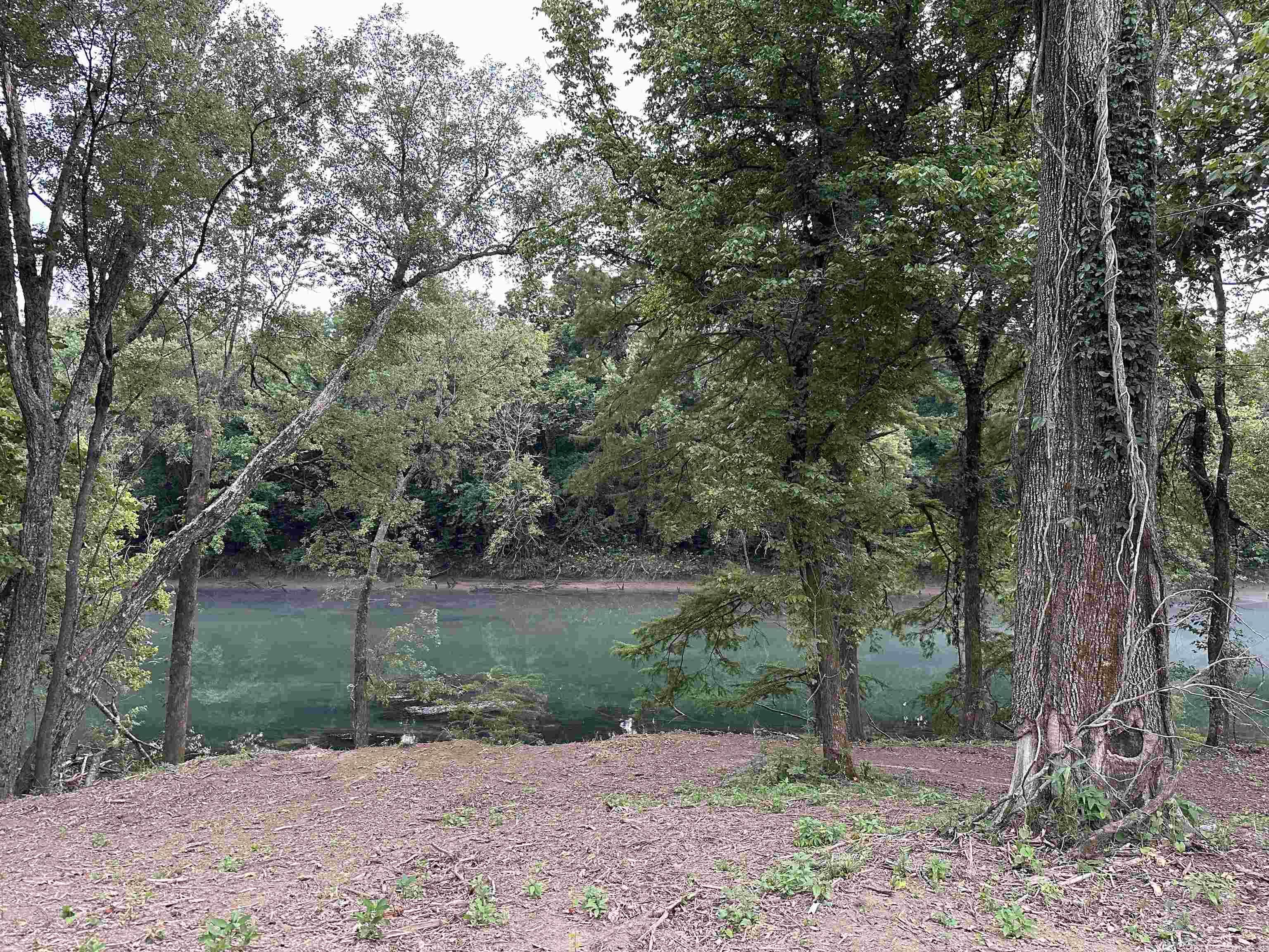 000  Old River Rd.  Pangburn, AR