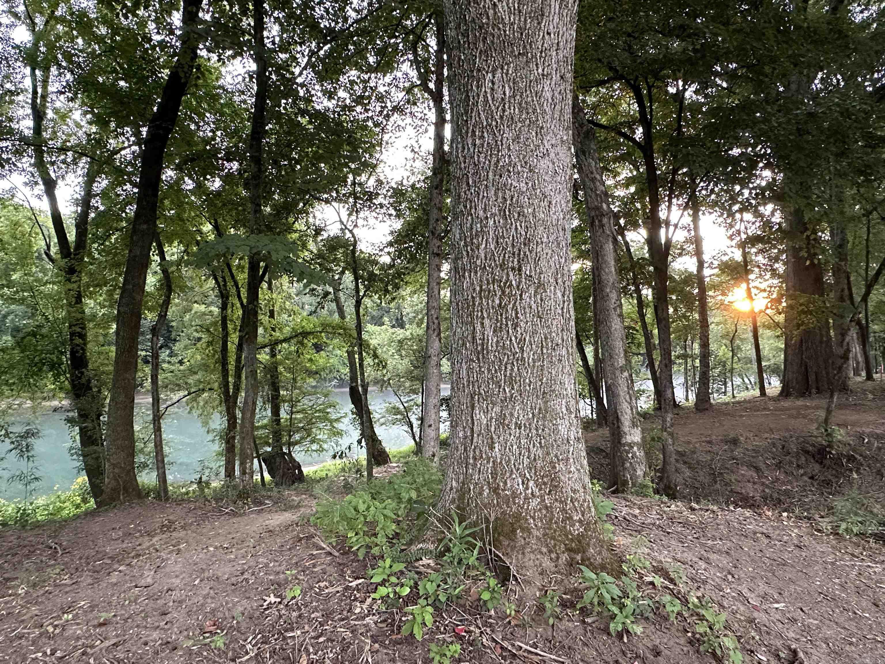 000  Old River Rd.  Pangburn, AR