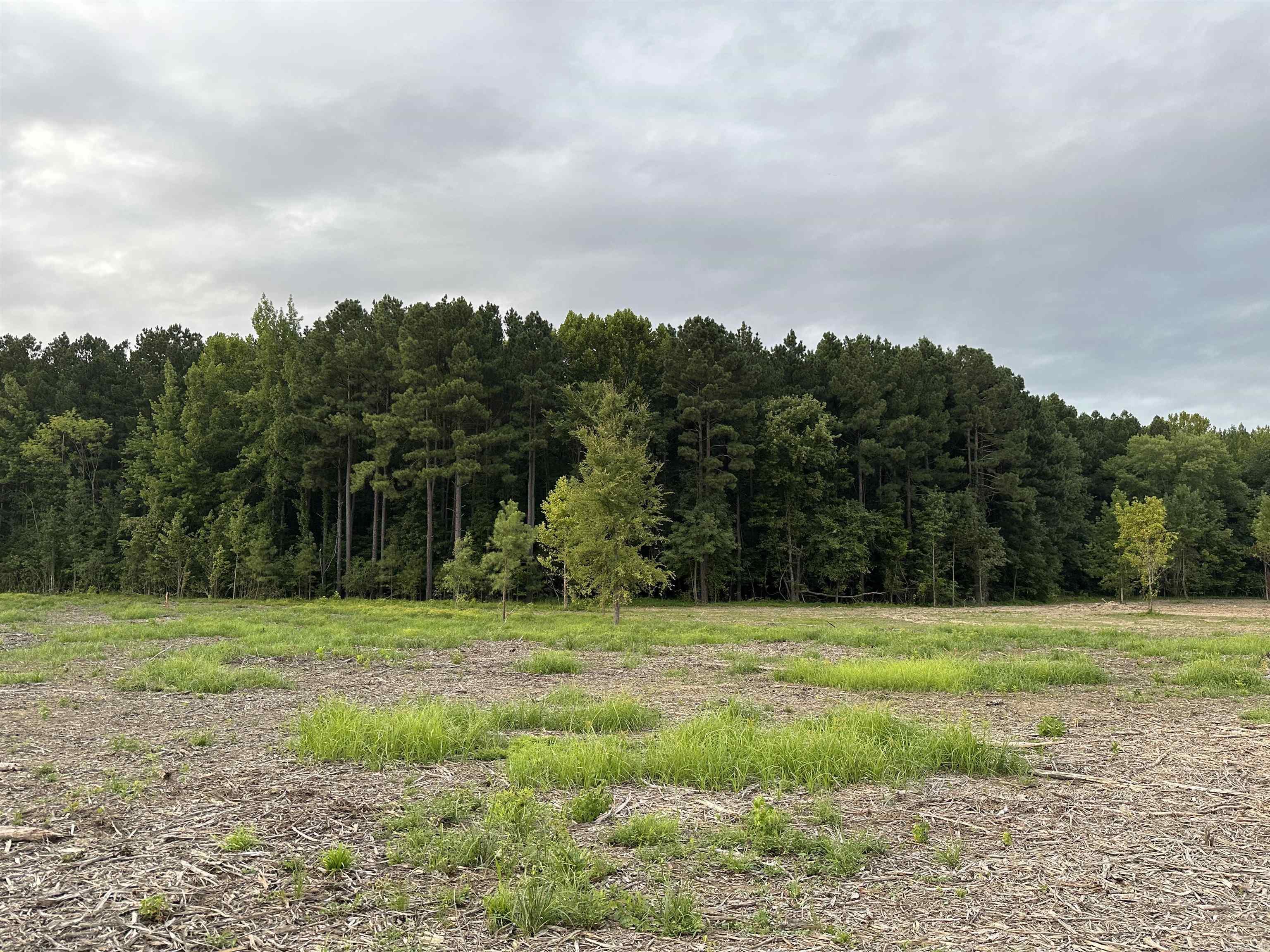 000  Old River Rd.  Pangburn, AR