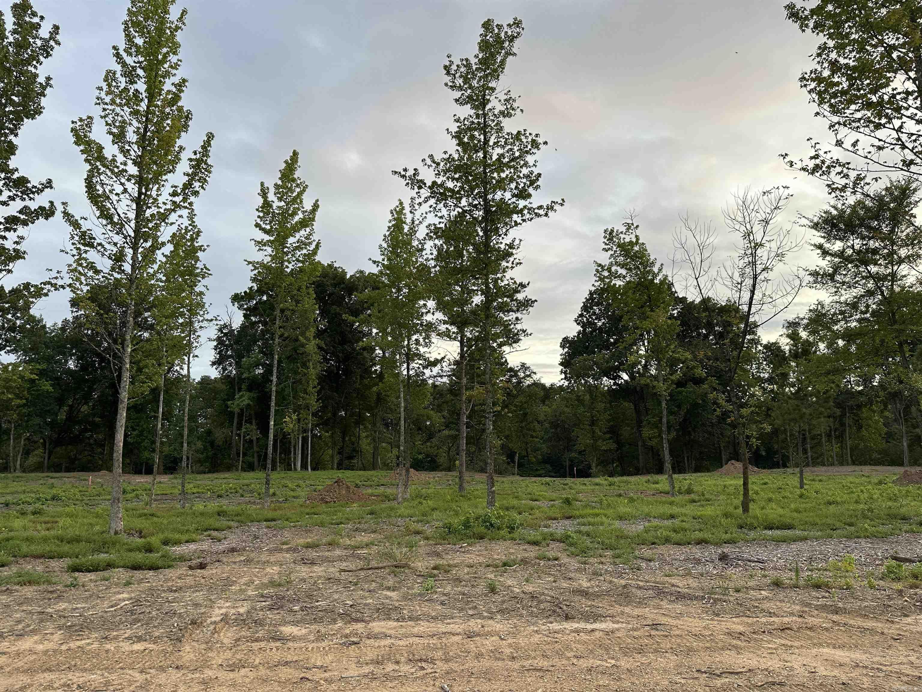 000  Old River Rd.  Pangburn, AR