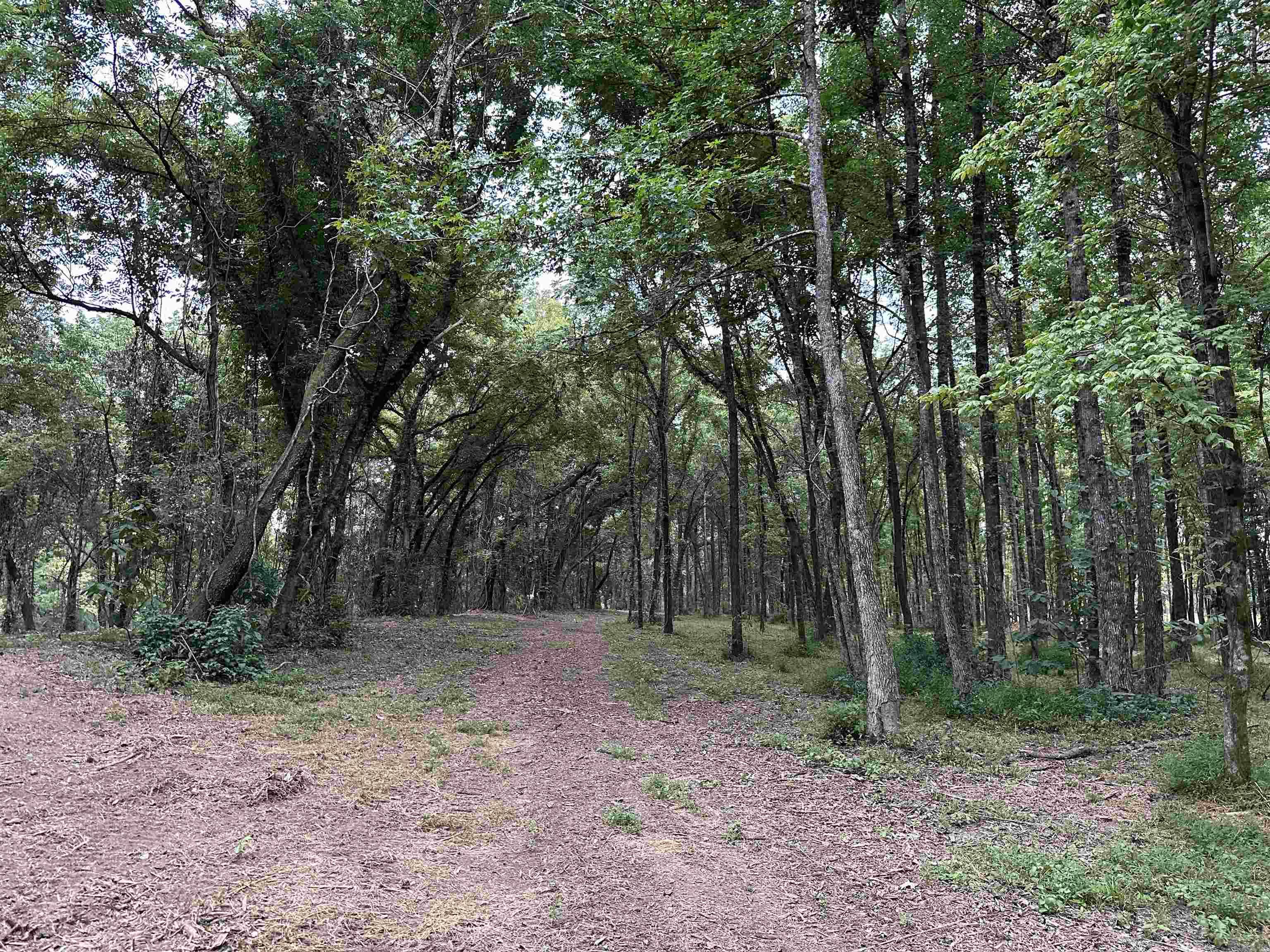 000  Old River Rd.  Pangburn, AR