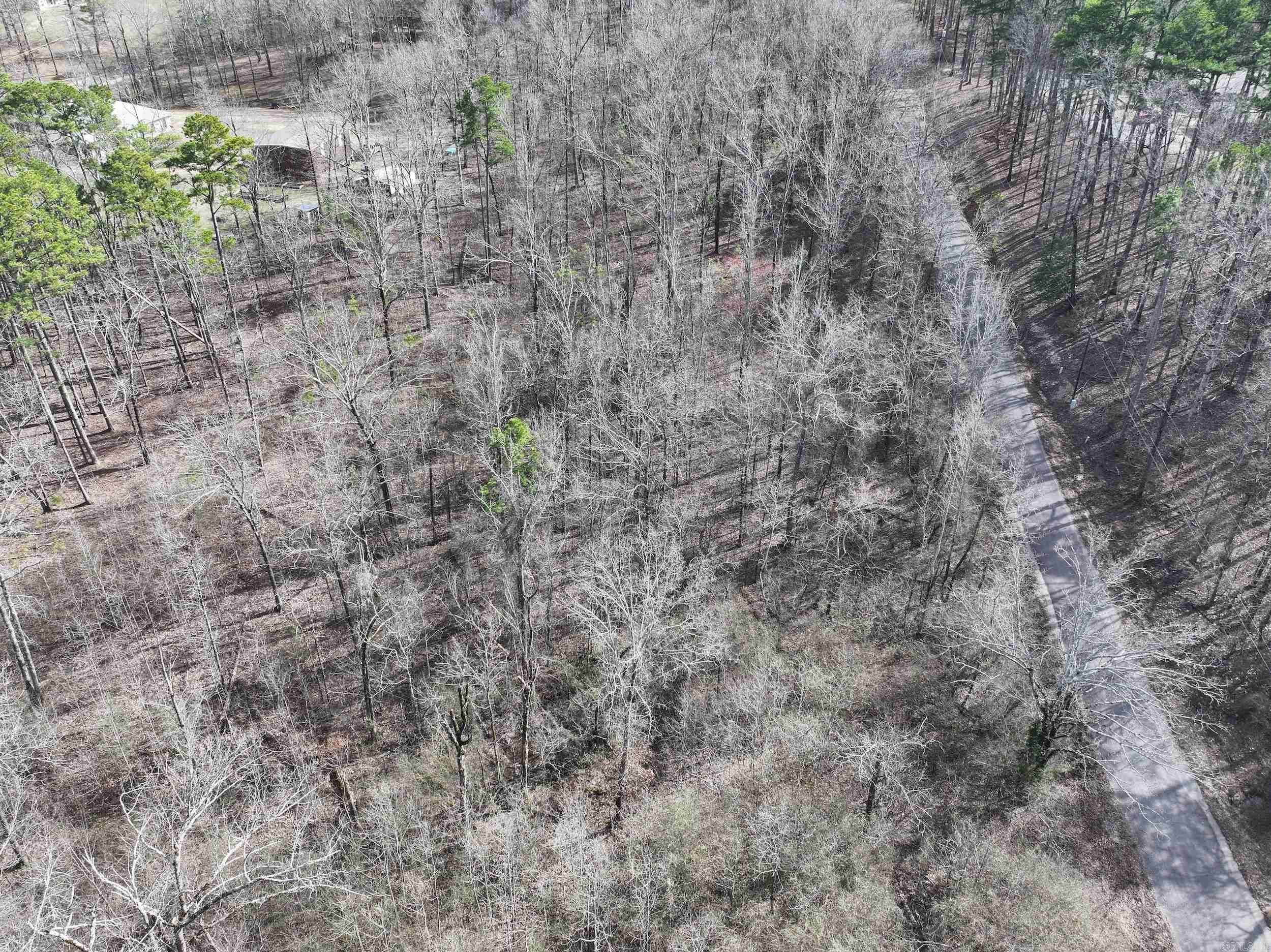 196  Pineview Estates  Mount Ida, AR