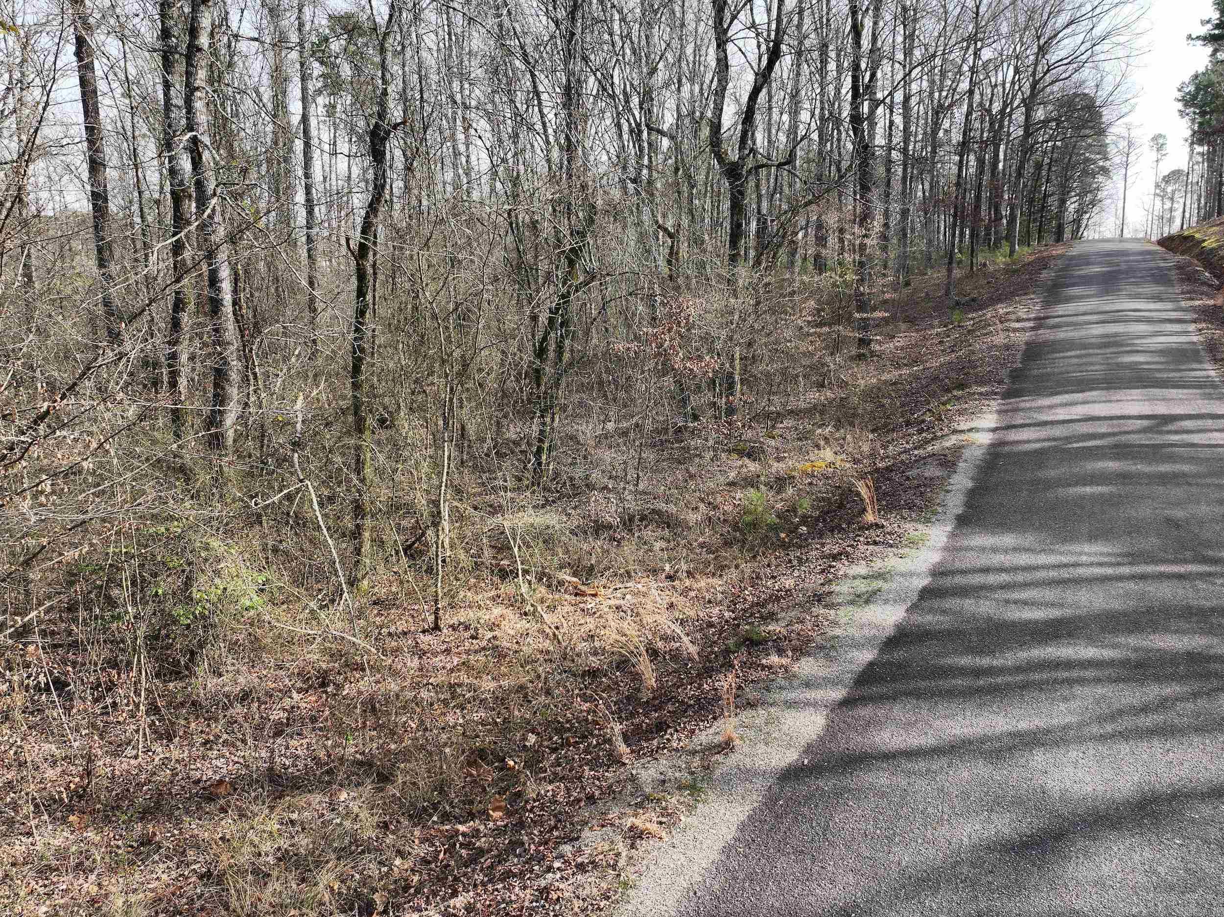 196  Pineview Estates  Mount Ida, AR