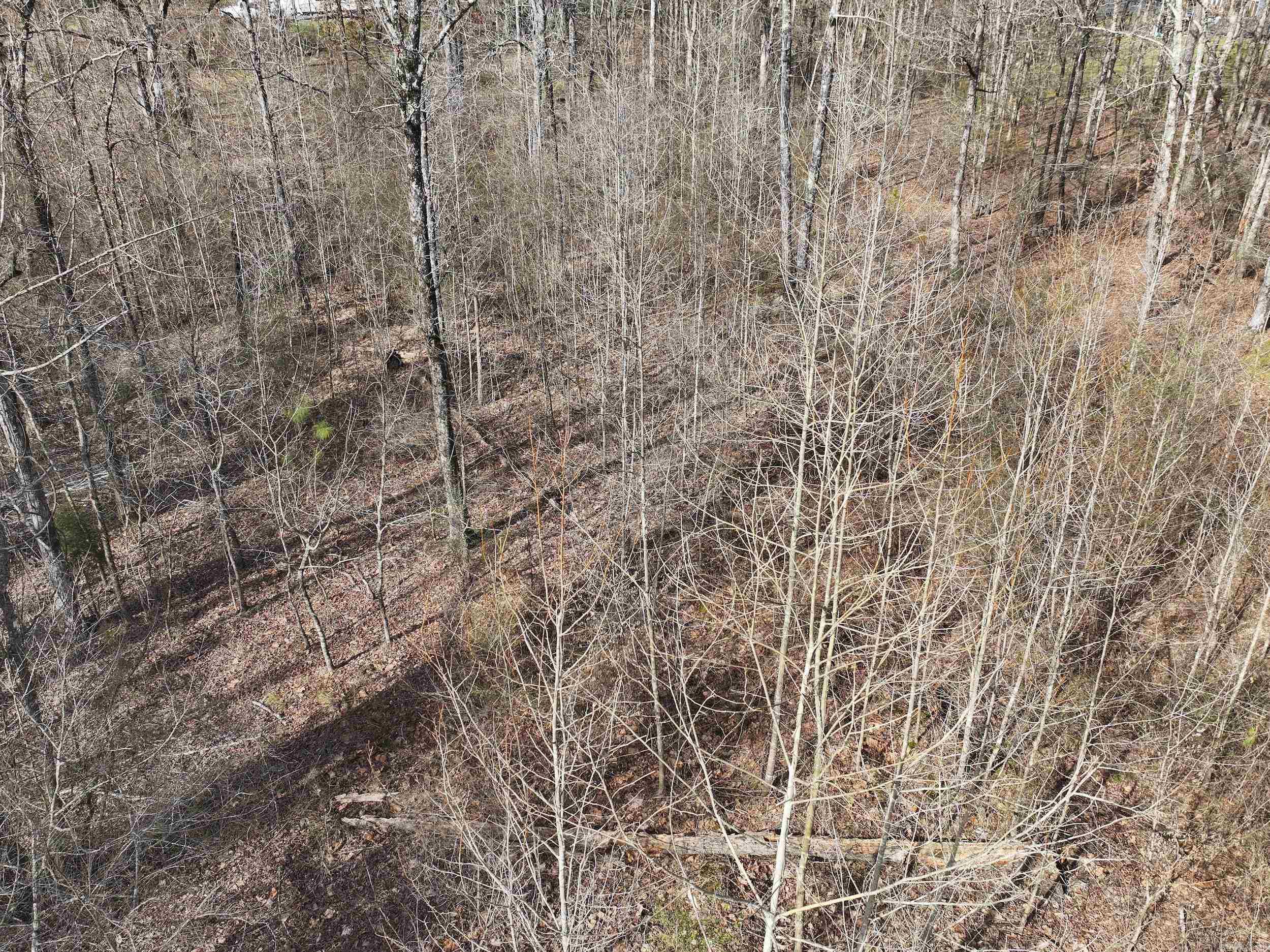 196  Pineview Estates  Mount Ida, AR